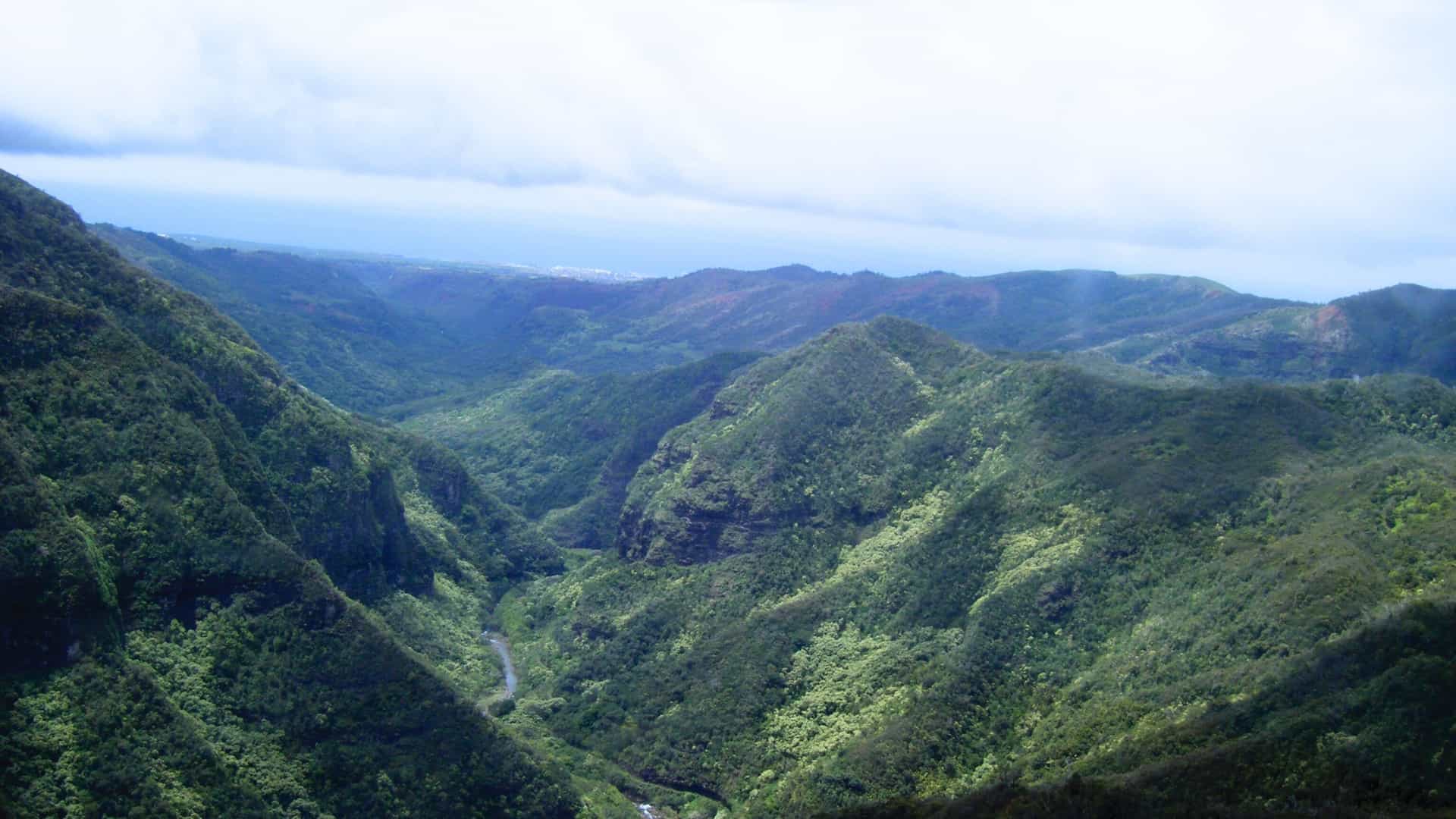 Lush green tropical valleys and mountains on the island of Kauai, Hawaii, a breathtaking landscape to explore on a Royal Caribbean cruise.