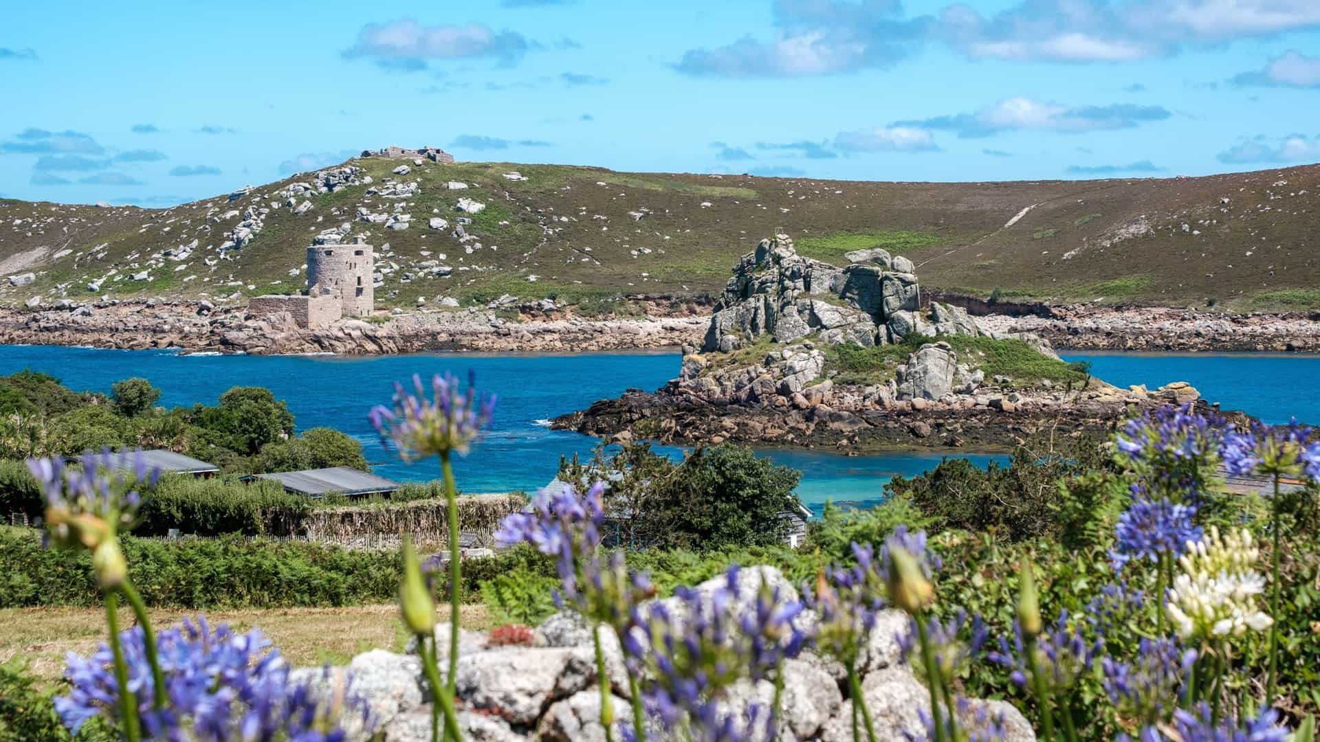 Landscape with wildflowers and the sea and hills in the background.
