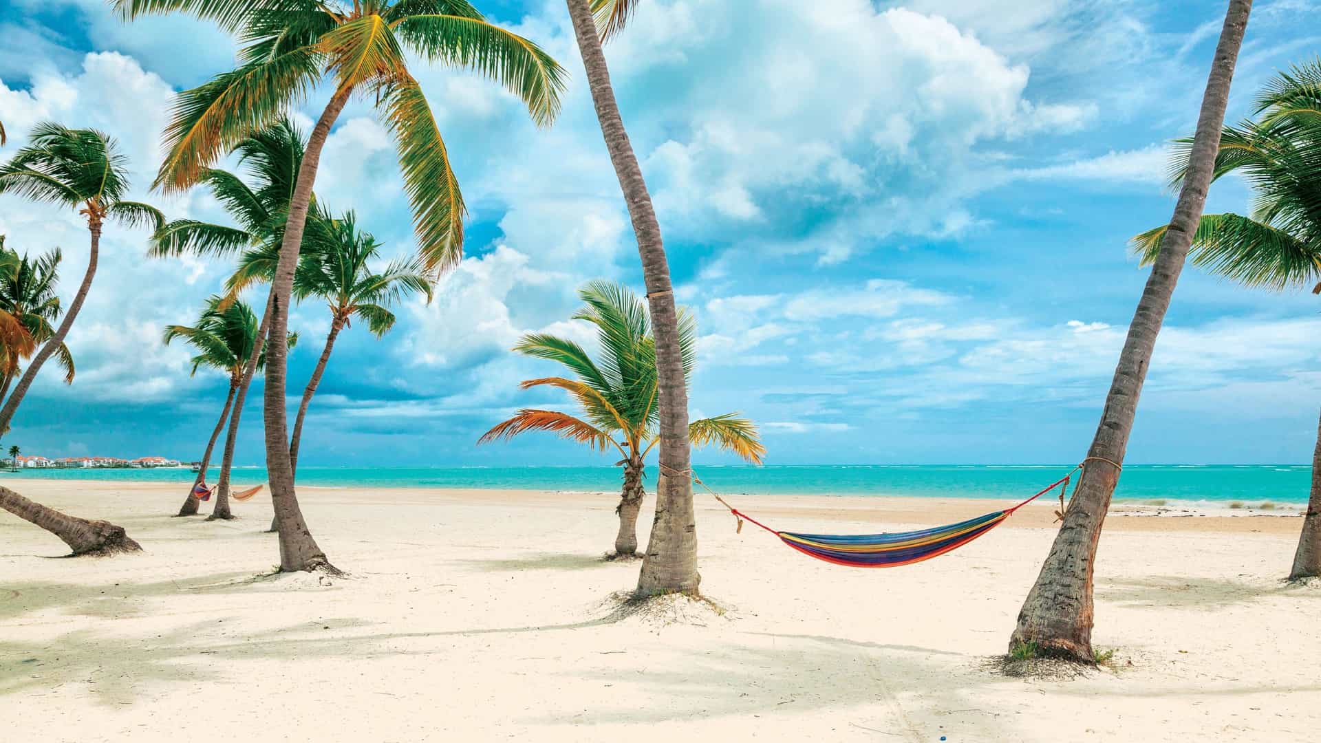 A serene tropical beach with a hammock and palm trees, representing a relaxing shore excursion on a luxury Seabourn cruise in the Caribbean.