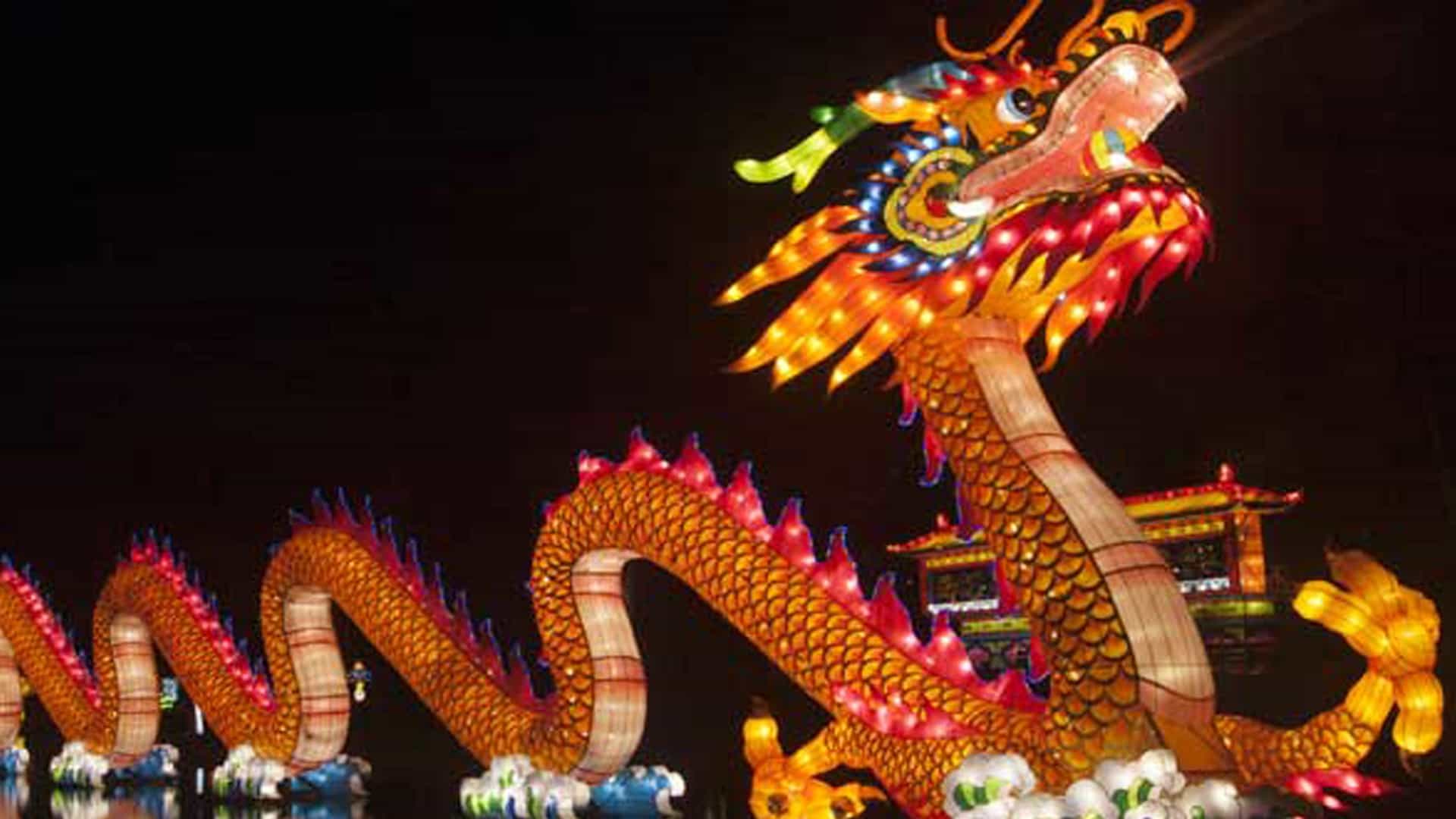 Shenzhen Illuminated dragon lantern at a Chinese festival.