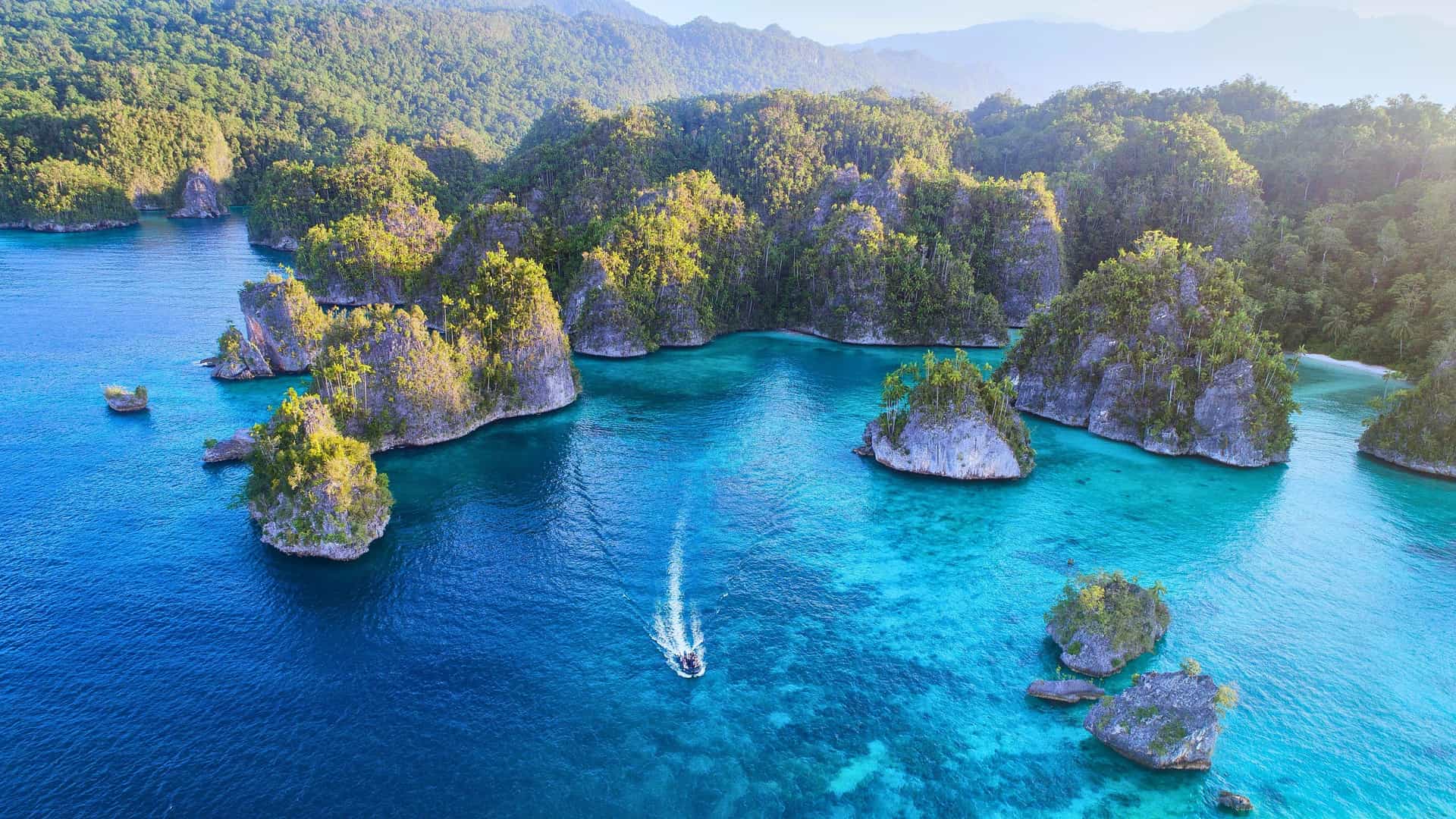 An aerial view of lush, terraced green rice fields in Asia, specifically Indonesia, a destination on a Silversea cruise.
