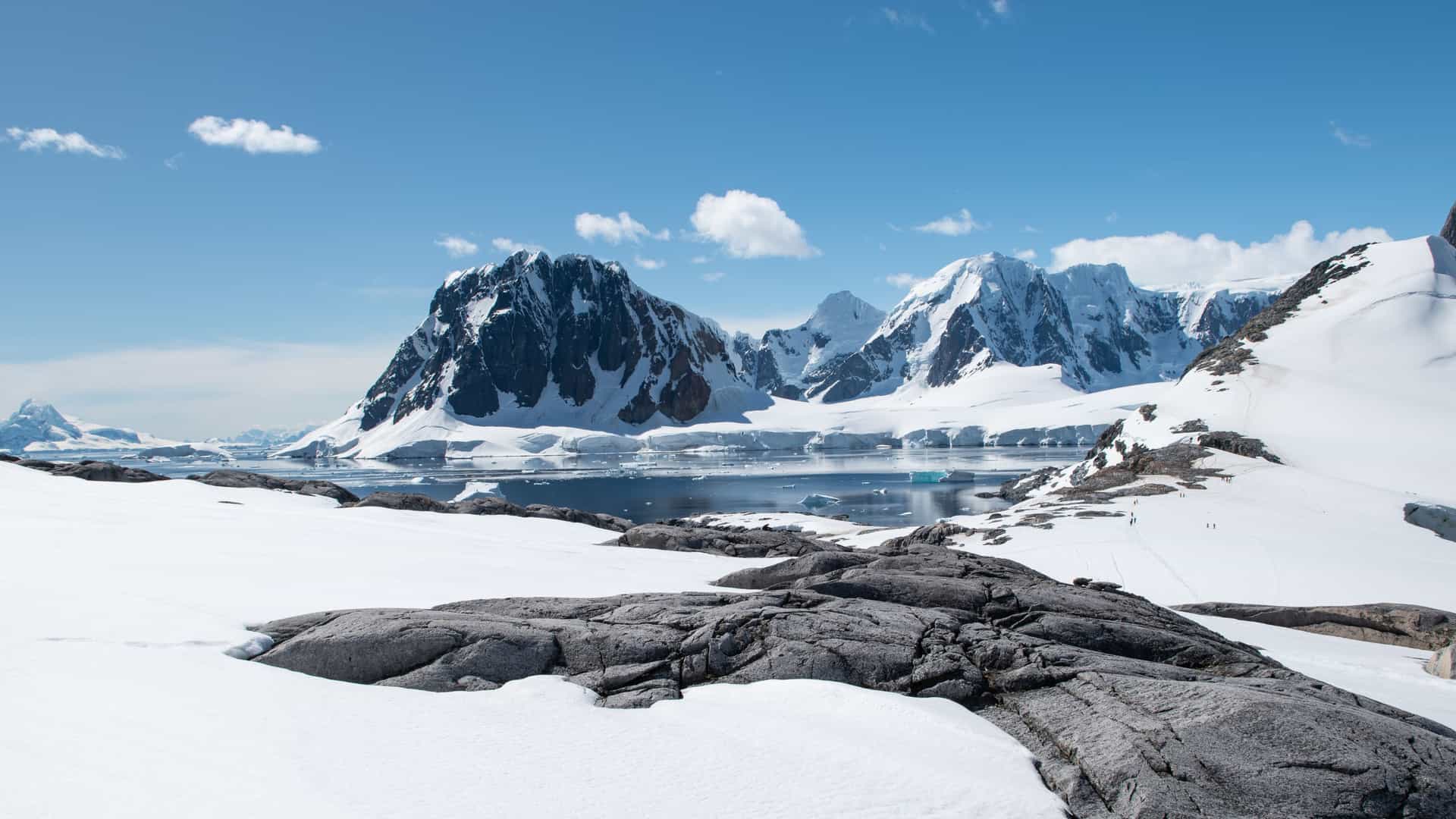 Icebergs drifting in calm water off Snow Island, framed by steep snow‑covered mountains, dark rocky slopes, and a crisp blue Antarctic sky.