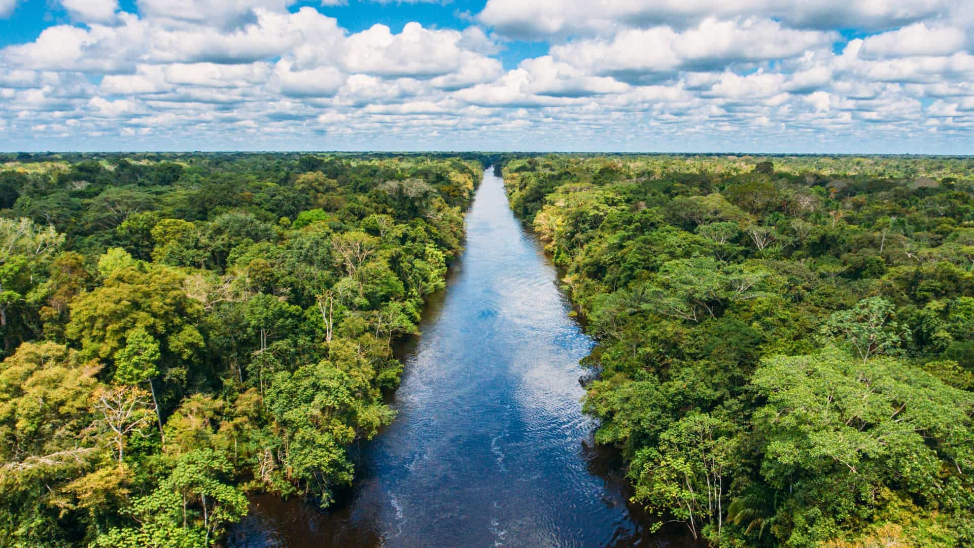 An aerial view of the Amazon River snaking through a dense, green rainforest under a blue sky with fluffy white clouds, showcasing the natural beauty of a Uniworld river cruise destination.