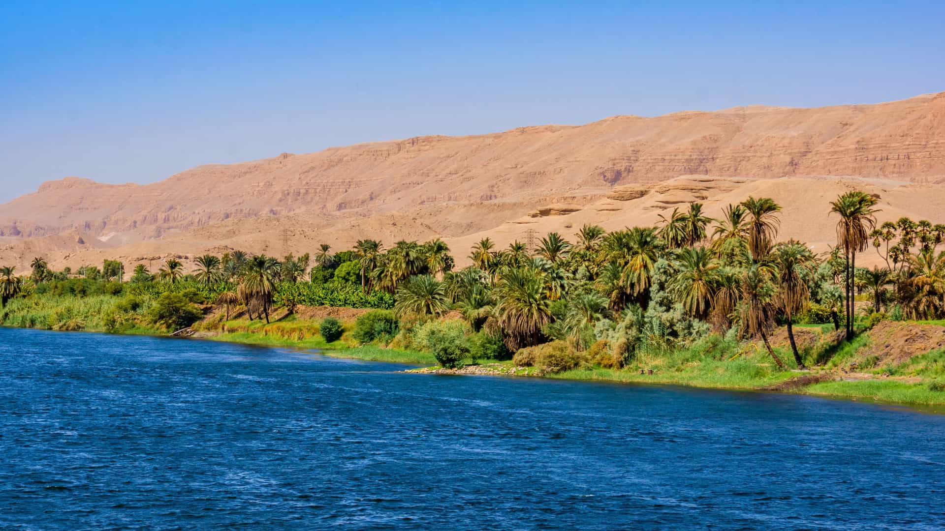 A bright blue Nile River flowing past a lush green bank filled with palm trees, contrasting with the barren, sandy mountains in the background, a captivating landscape on a Uniworld river cruise in Egypt.