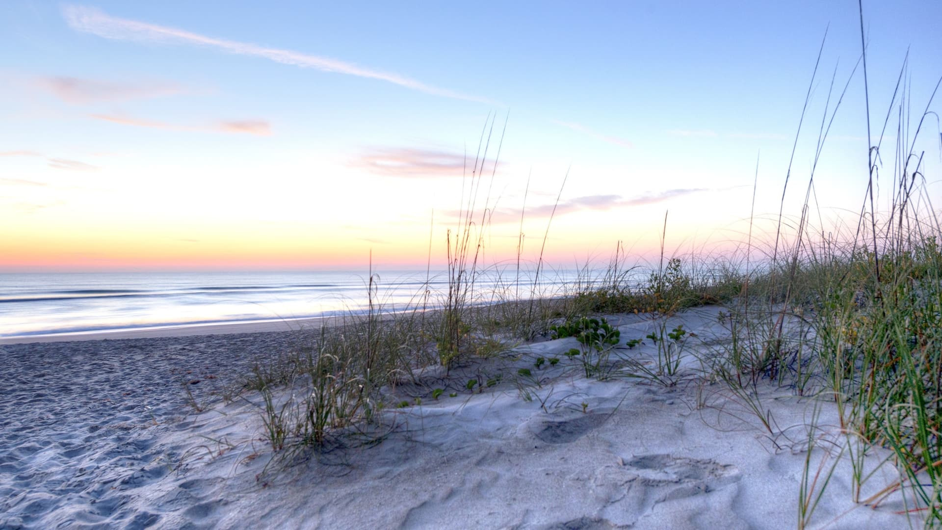 Peaceful sunrise over a sandy Florida beach with sea oats in Port Canaveral.