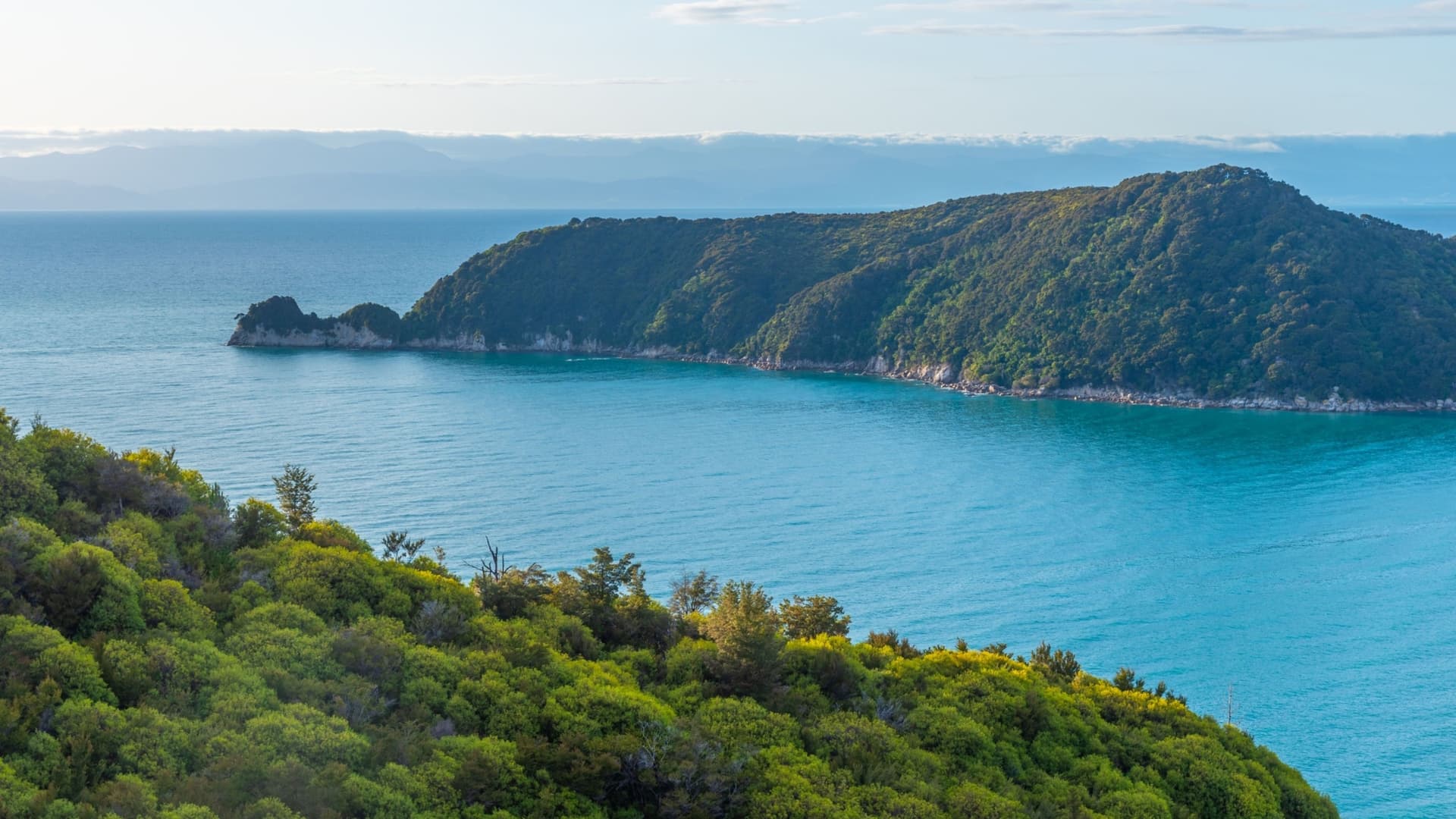 A panoramic view of Adele Island in New Zealand's Abel Tasman National Park, with lush green forest covering the coastline and blue water surrounding it.
