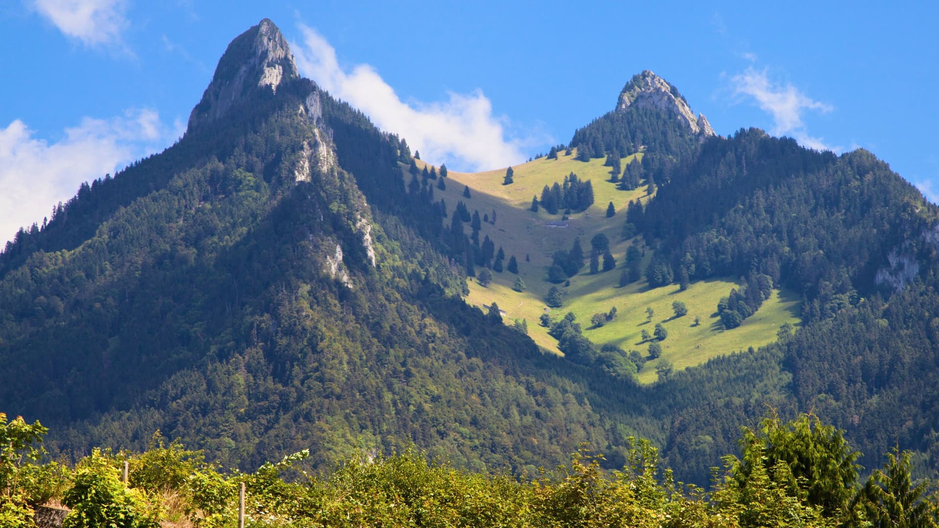 A scenic landscape of jagged mountain peaks and lush green forests in Broc, Switzerland, with a grassy clearing in the middle and a bright blue sky with white clouds in the background.