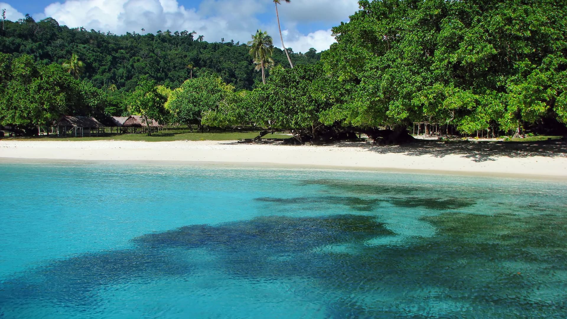 A beautiful beach with white sand and clear turquoise water, surrounded by lush green trees and huts, at Champagne Beach in Vanuatu.