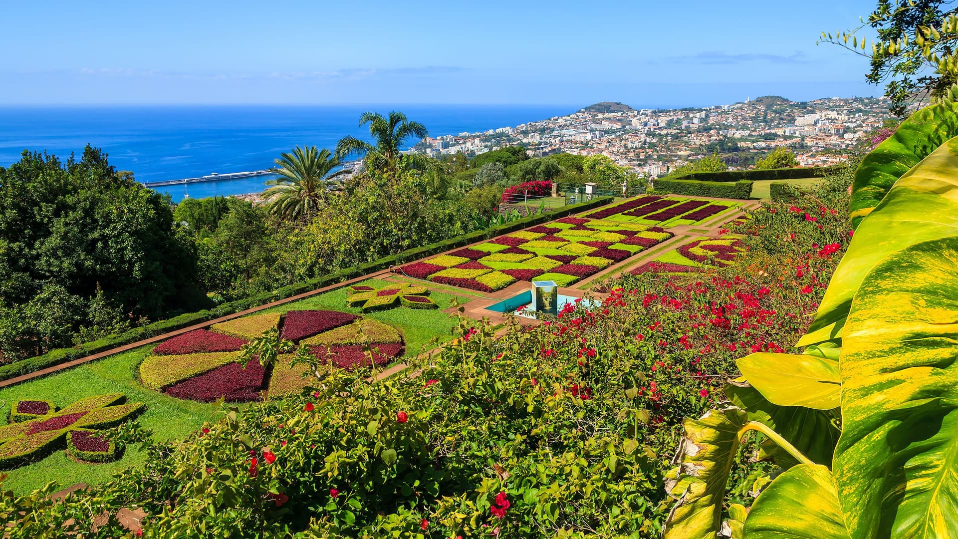 A beautiful panoramic shot from a garden in Funchal, Madeira, Portugal, showcasing meticulously manicured flower beds in geometric patterns with the city and the Atlantic Ocean in the background.