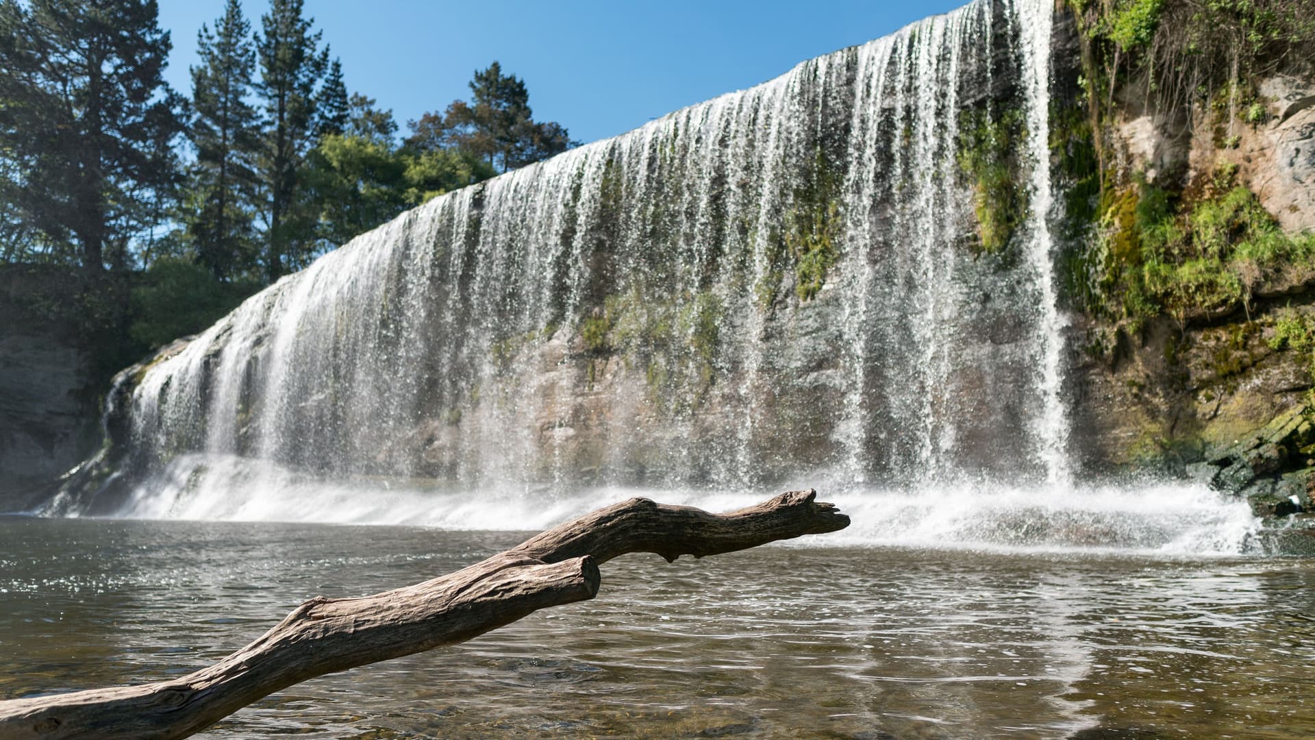A wide-angle, ground-level shot of the Rere Rockslide waterfall in Gisborne, New Zealand, showcasing a log in the foreground and a wide sheet of water cascading down.