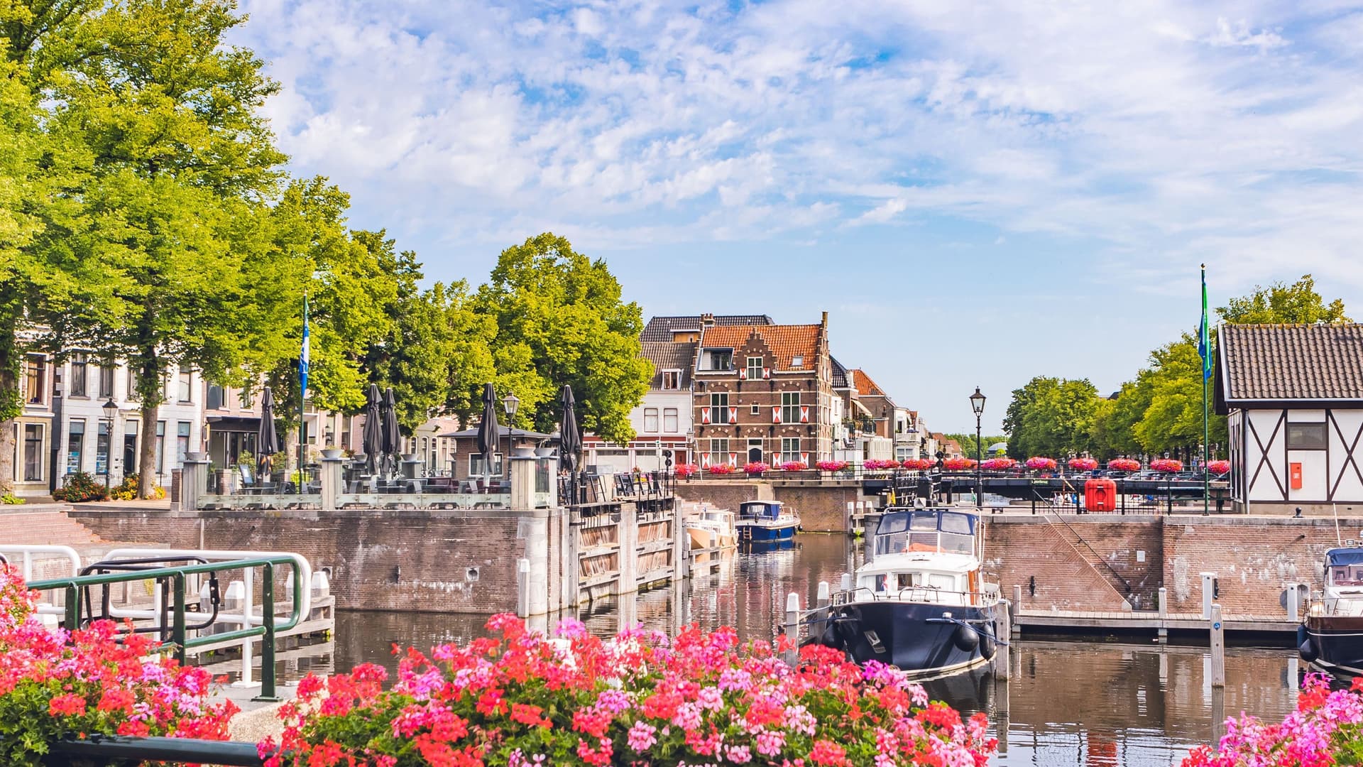 A charming view of a canal in Gorinchem, Netherlands, lined with historic buildings and lush trees, with several boats docked and vibrant pink flowers in the foreground.