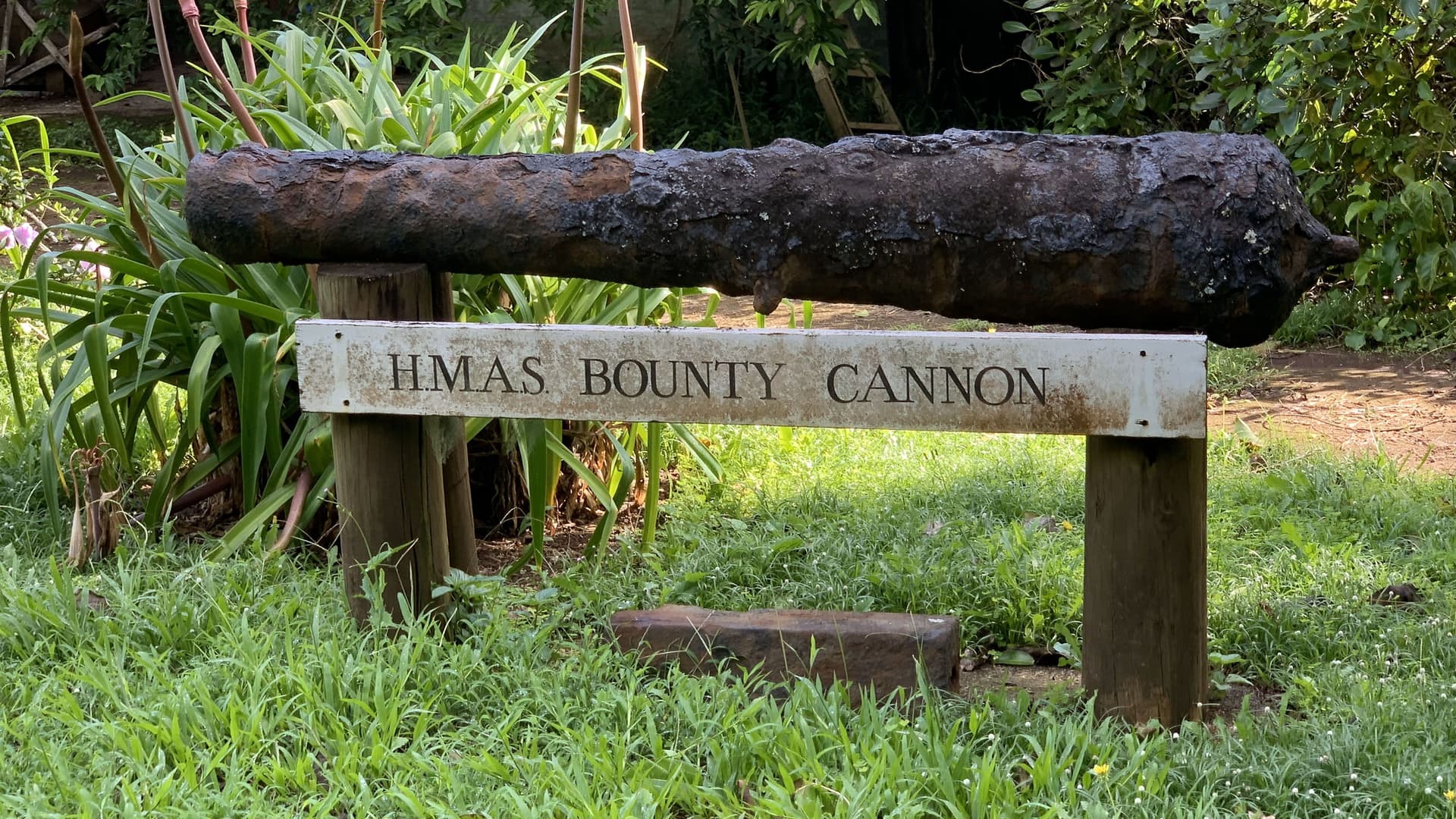 A photo of a historical, rusty cannon, labeled "HMAS BOUNTY CANNON," displayed on a wooden stand in a grassy, outdoor setting.