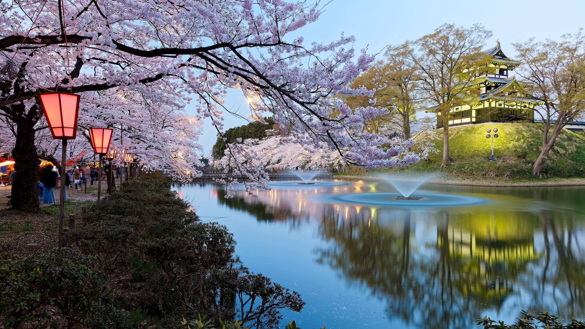 A breathtaking dusk scene in Niigata, Japan, with a traditional castle and a pond featuring fountains, surrounded by blossoming cherry trees with illuminated red lanterns.