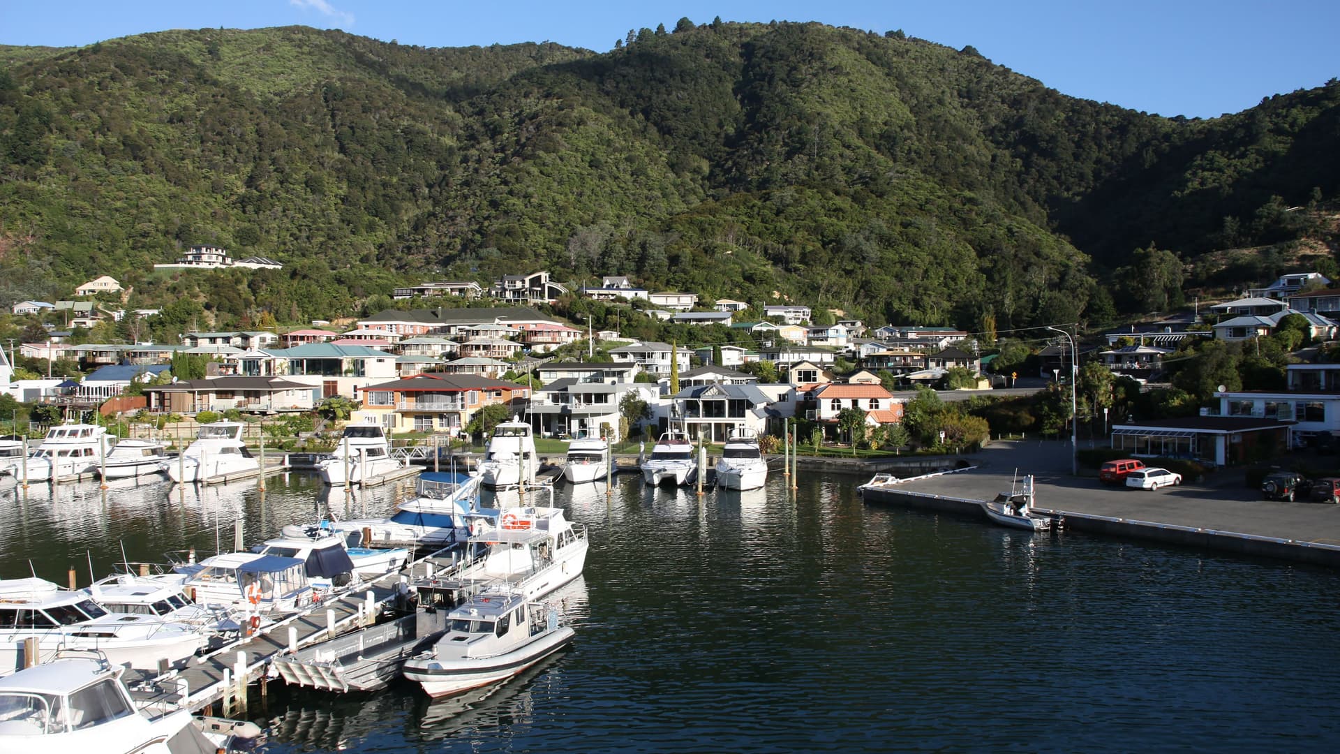 A scenic view of the port of Picton, New Zealand, with a marina full of boats and houses built on the lush, green hillside.