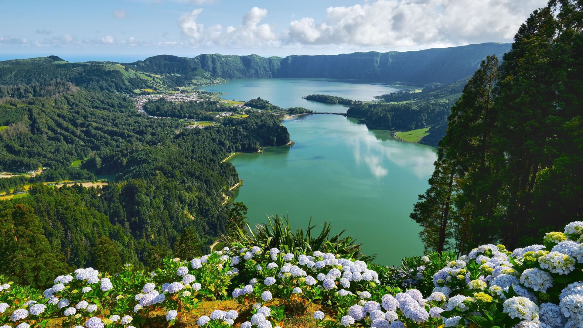 A scenic view of the twin lakes, Lagoa das Sete Cidades, on São Miguel Island in the Azores, with vibrant green vegetation and hydrangeas in the foreground and a small village and bridge in the distance.