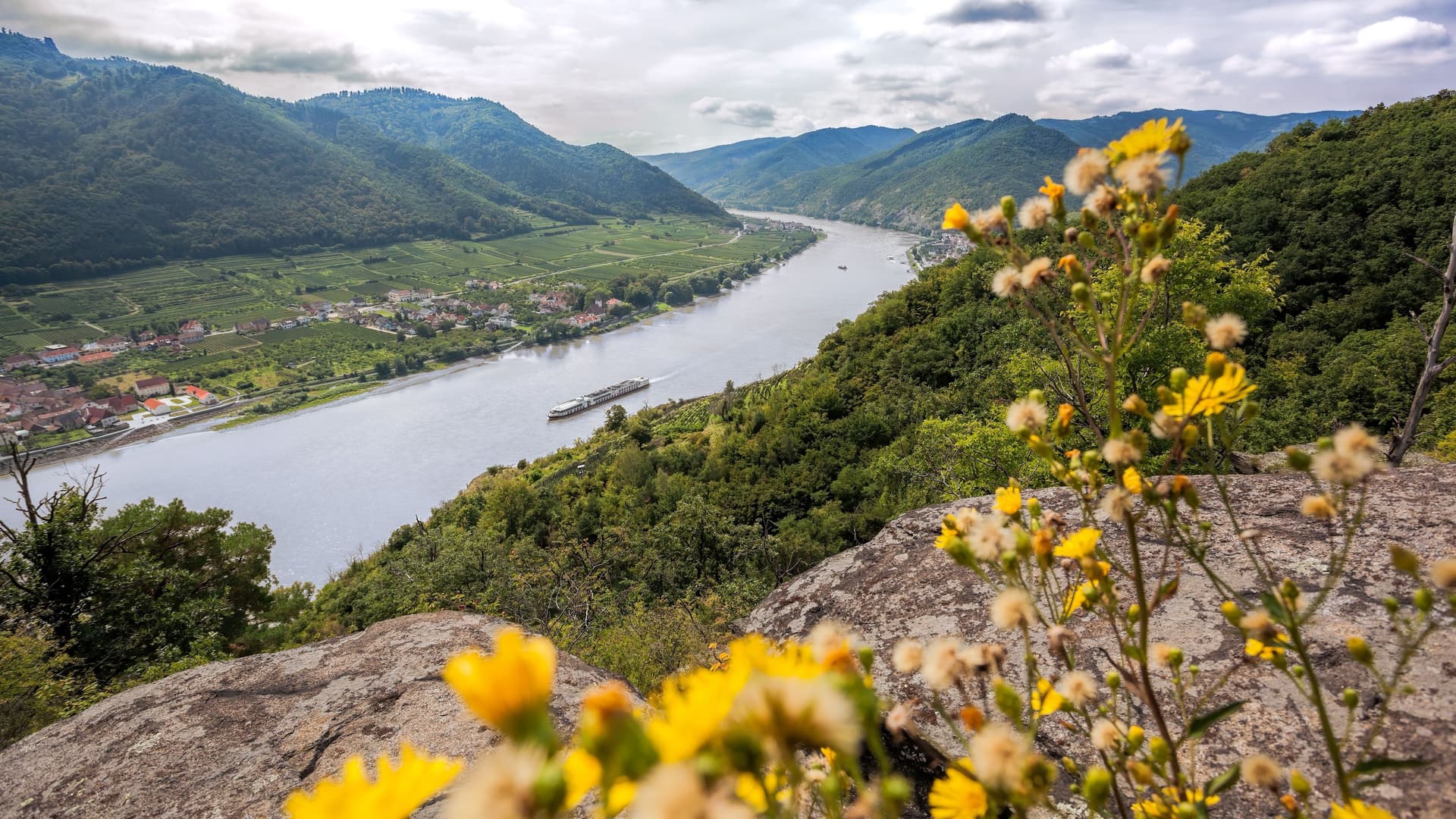 A panoramic view of a river cruise ship sailing down a wide river valley, with lush green hills and vineyards surrounding the scenic waterway.