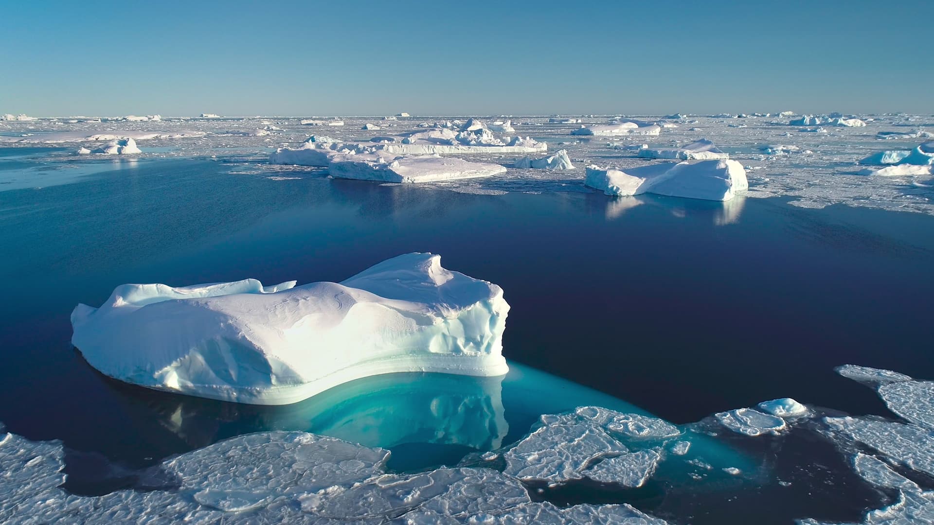 "A vast body of water in South Greenland with a large, uniquely shaped iceberg and smaller ice floes floating on the surface under a clear blue sky.  "