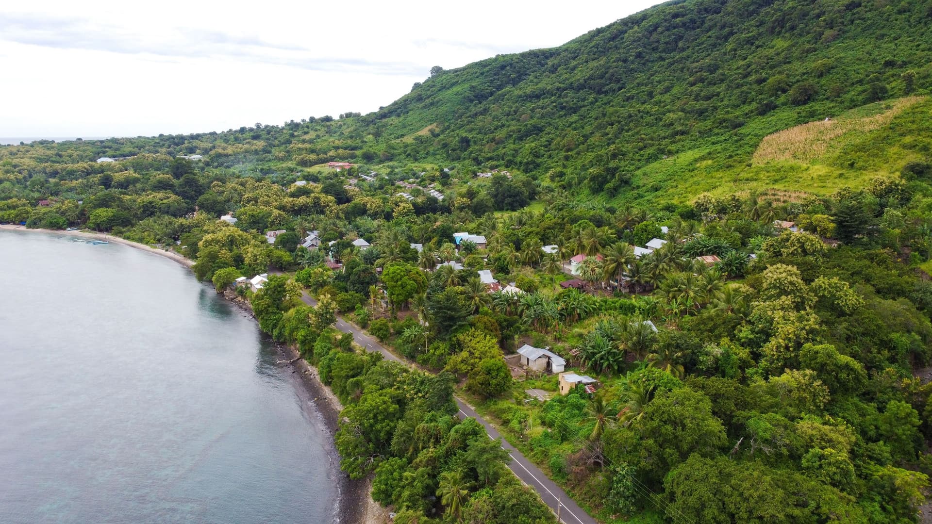 An aerial view of the lush, green coastline of Sumba Island, Indonesia, with a small road and scattered houses winding along the shoreline near Waingapu.
