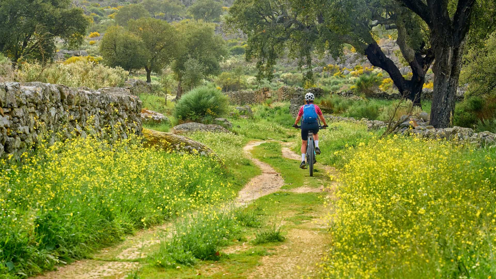 active senior woman cycling with her electric mountain bike in the rough landscape of National Parc Serra de São Mamede near Marvao in central Portugal, Europe