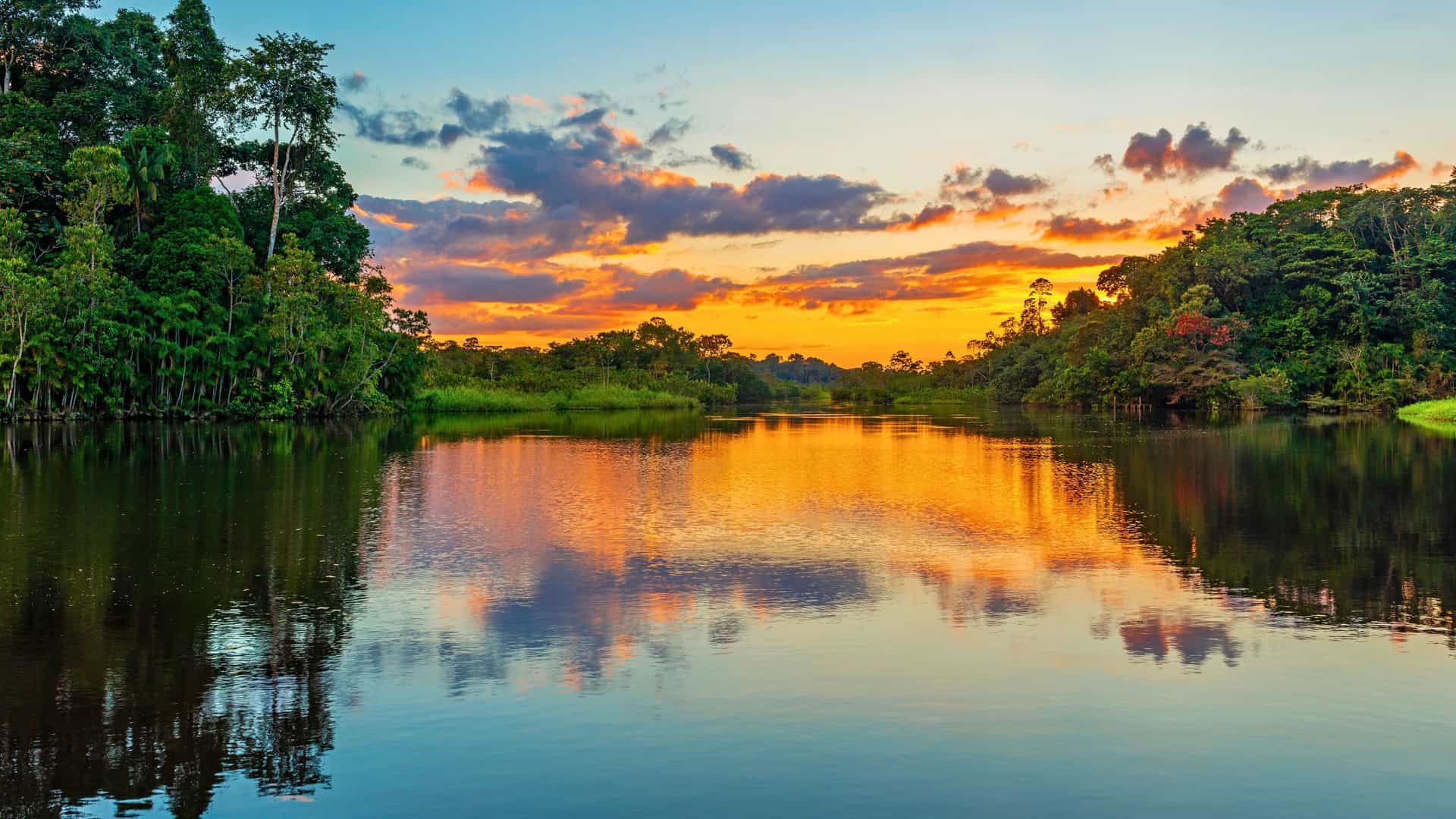 Experience the awe-inspiring beauty of an AmaWaterways Amazon River cruise at sunset, with a vast river reflecting vibrant skies and bordered by untouched rainforest. Ideal for luxury expedition and nature lovers.
