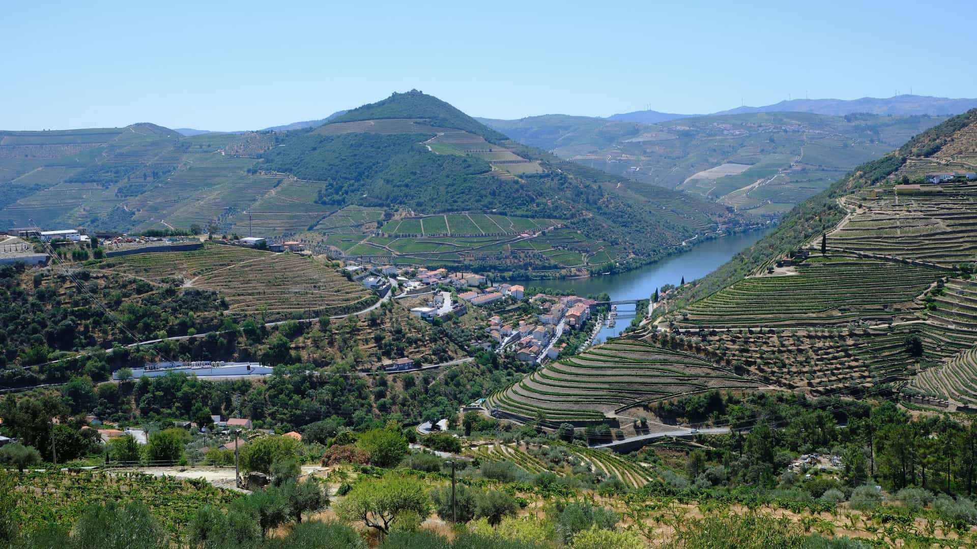 Douro Valley vineyards along the Douro River in Portugal, featured on AmaWaterways Douro River cruises.