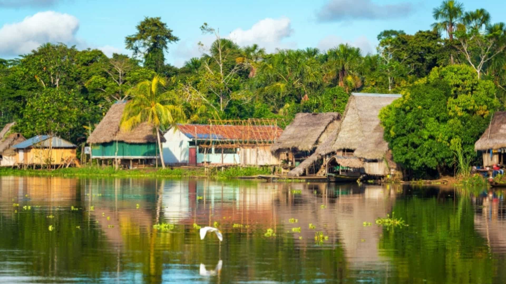 A serene view of a small village along the Amazon River. The houses, built on stilts, have thatched roofs and wooden walls. They are nestled at the edge of the dense, green rainforest that lines the riverbank. The calm, reflective water shows a clear reflection of the houses and a white bird flying low over the surface. The sky is bright blue with scattered white clouds, creating a peaceful and picturesque scene of life in the Amazon region.