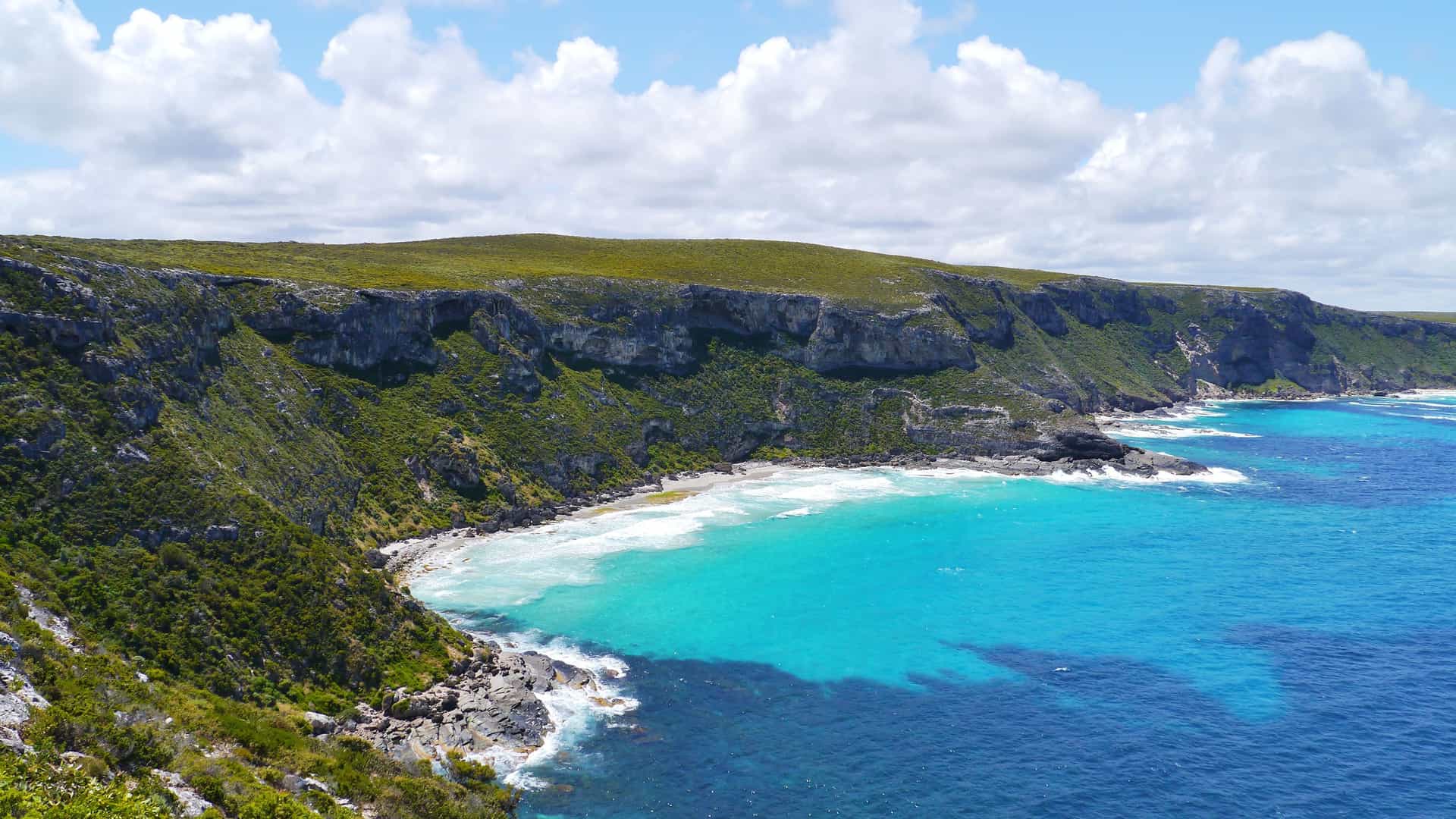 A breathtaking view of the rugged coastline of Kangaroo Island in Australia. The turquoise water of the ocean meets the shore in a small bay, creating a stark contrast with the deeper blue of the open sea. The coastline features steep, rocky cliffs covered in vibrant green vegetation. The cliff face has visible layers of rock, and white waves crash gently onto the small beach. The sky is bright blue with scattered white clouds, highlighting the natural, unspoiled beauty of this region.