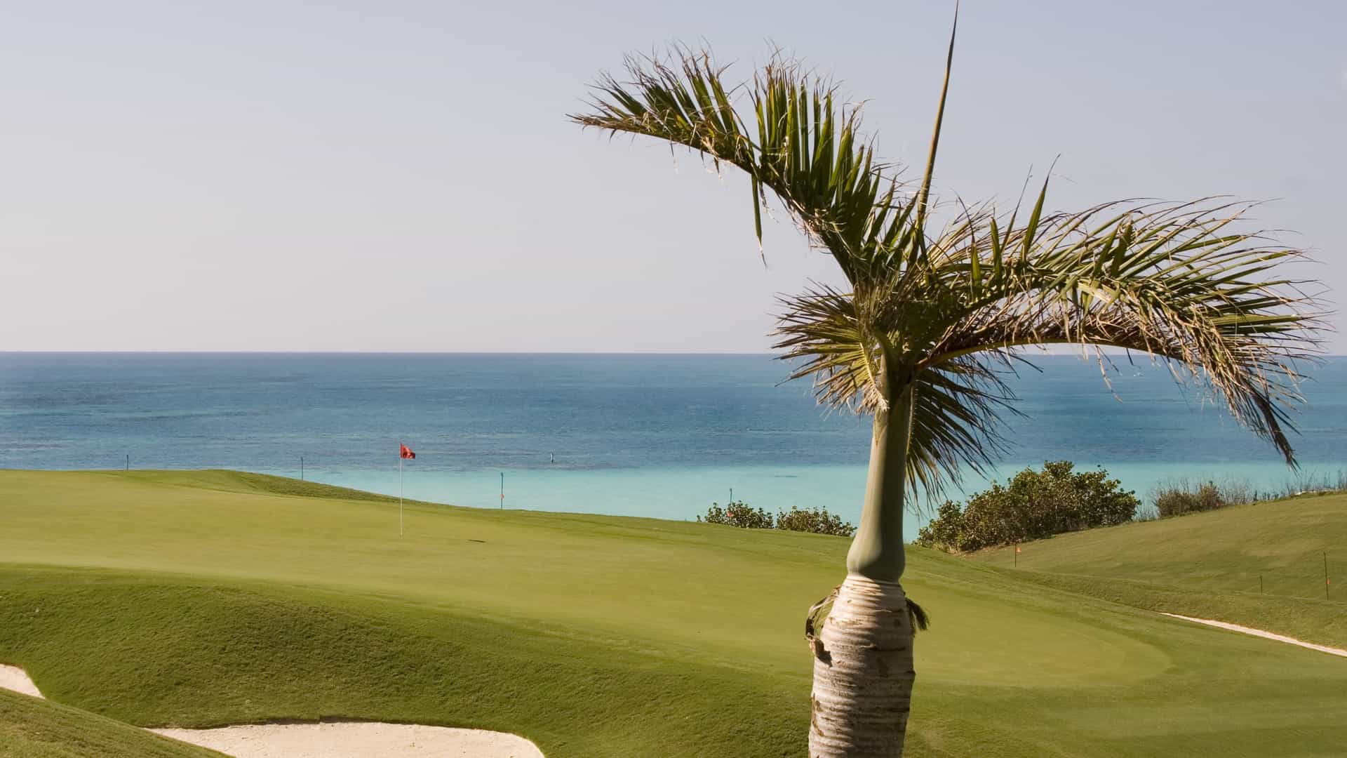 A beautiful, manicured golf course in Bermuda with a stunning ocean view. A single palm tree stands prominently in the foreground. The green fairway slopes down towards the clear, turquoise water of the Atlantic Ocean, which transitions to a deeper blue on the horizon. A red flag marks the hole on the green, and a sandy bunker is visible at the edge of the course. The image captures the relaxed, coastal atmosphere of this island destination.
