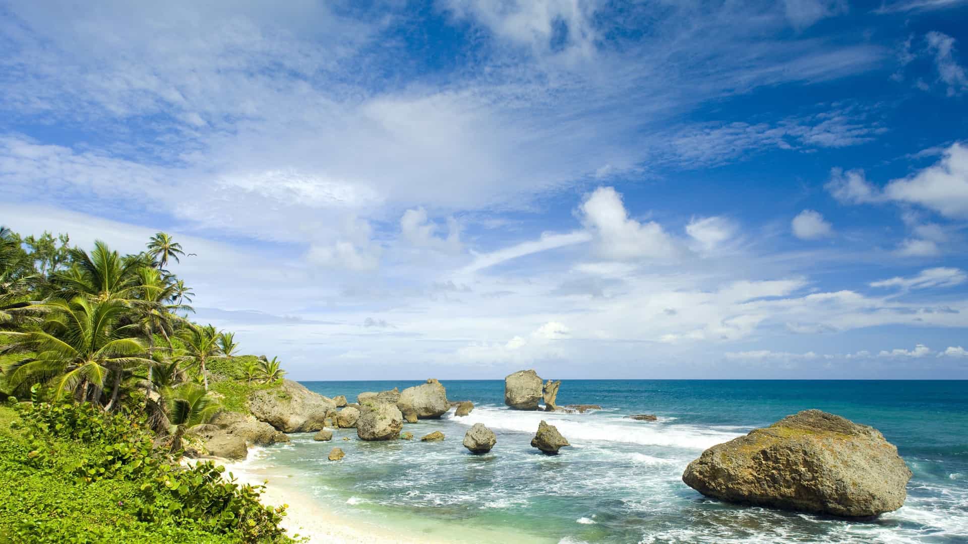 Rocky beach and palm trees in Barbados.