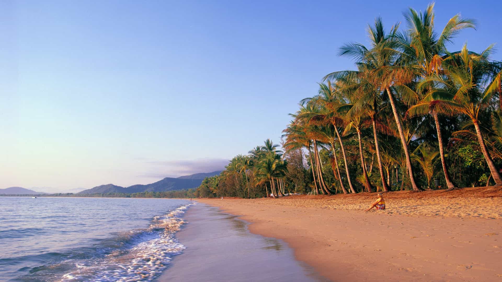 Palm-lined beach in Cairns, Australia.