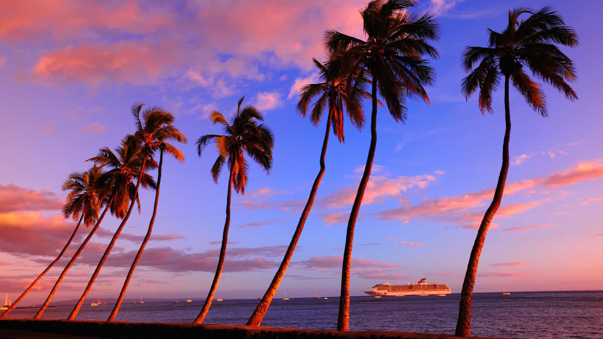 Lahaina, Maui sunset with palm trees, a Carnival cruise ship in the distance, and vibrant Pacific Ocean views.