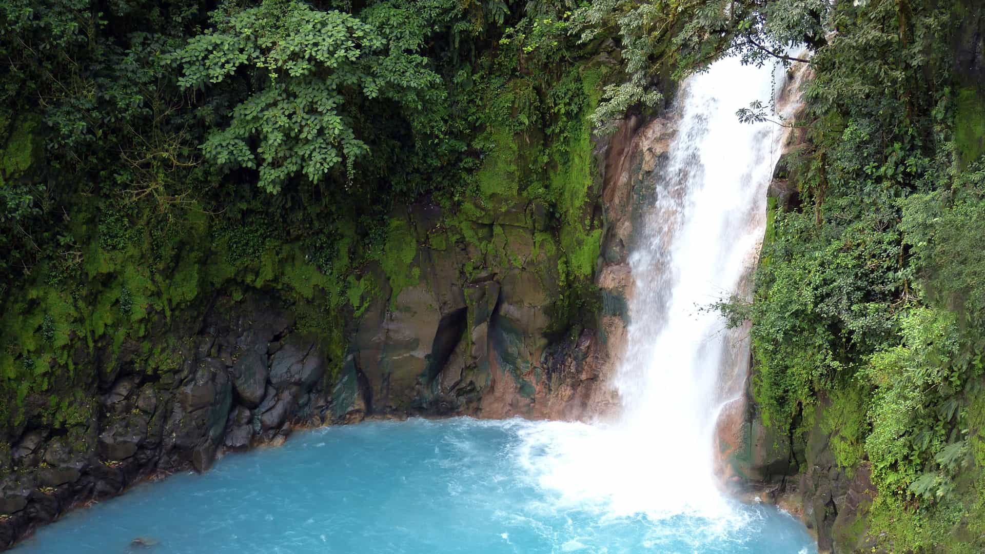 A serene waterfall cascades through a vibrant forest of Costa Rica.