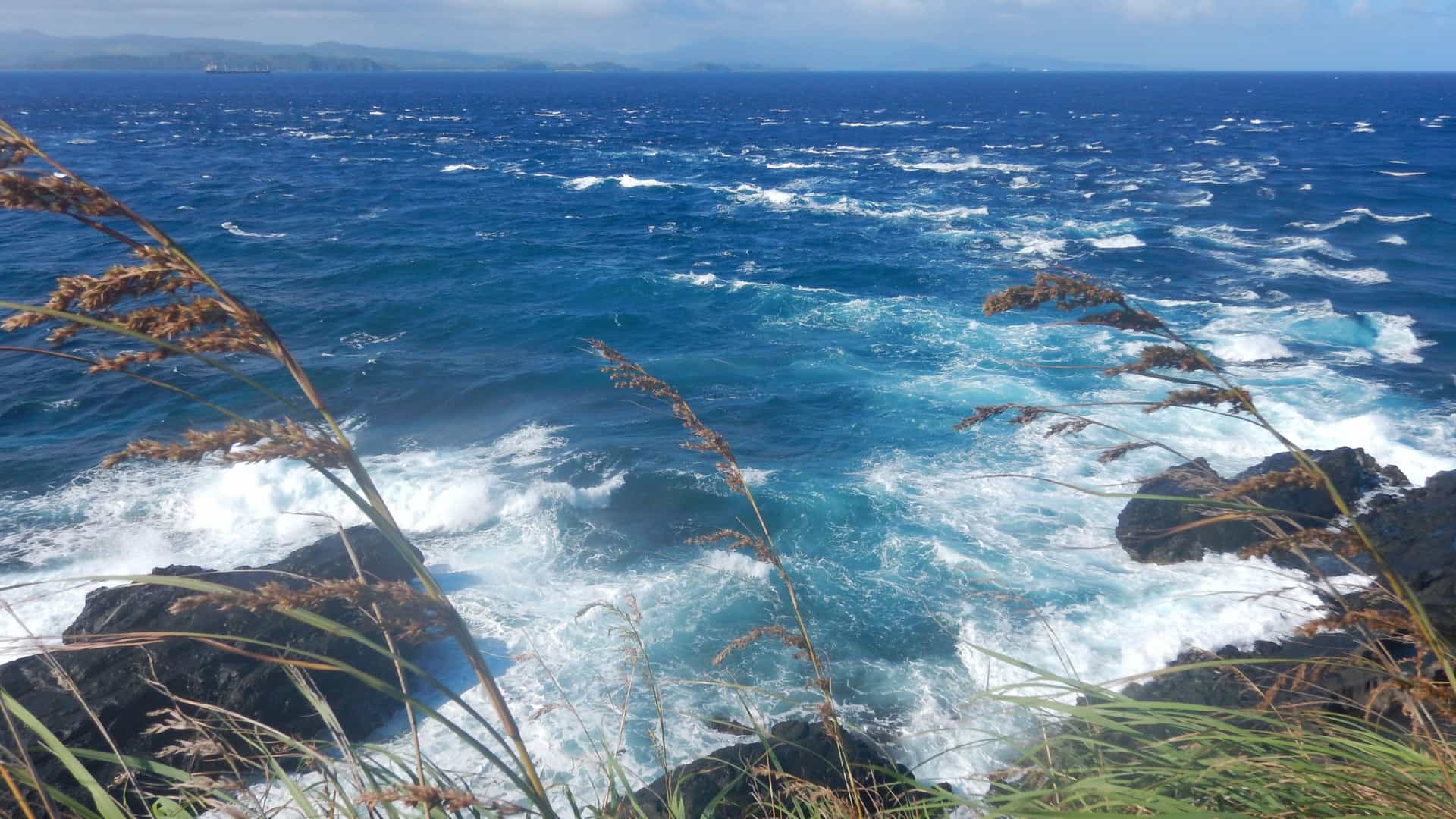 Windswept grasses overlooking deep blue waves crashing against the rocky Capul coastline in Northern Samar.