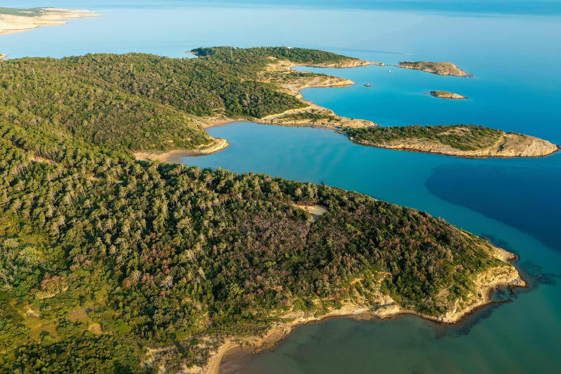 An aerial view of the lush, forested peninsula near Pomena, Croatia—a tranquil port village located on the western tip of Mljet Island and a popular gateway for Mljet National Park cruises. The image showcases dense green pine forests extending to a jagged coastline, with shallow, crystal-clear turquoise bays and small rocky islets surrounded by the deep blue Adriatic Sea under soft sunlight.