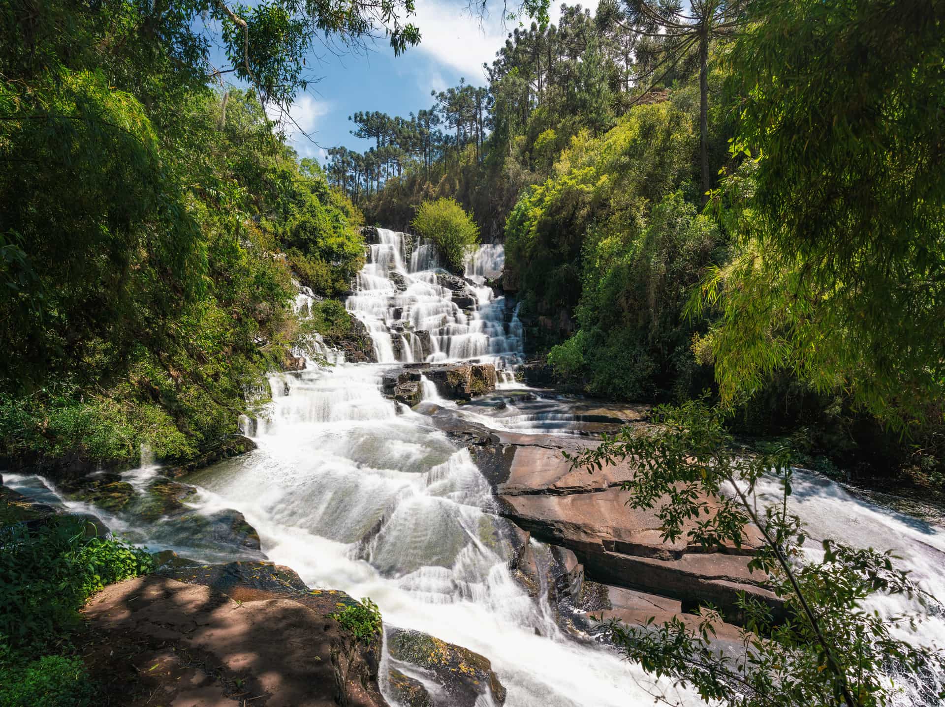 A beautiful view of a multi-tiered cascading waterfall framed by lush green tropical forests—a popular nature shore excursion near the regional waterways of Rio Grande do Sul, Brazil (often associated with localized regional itineraries near Progresso). The image captures bright white water rushing over dark, expansive rock formations, surrounded by dense trees, bamboo, and Paraná pines under a clear sky.
