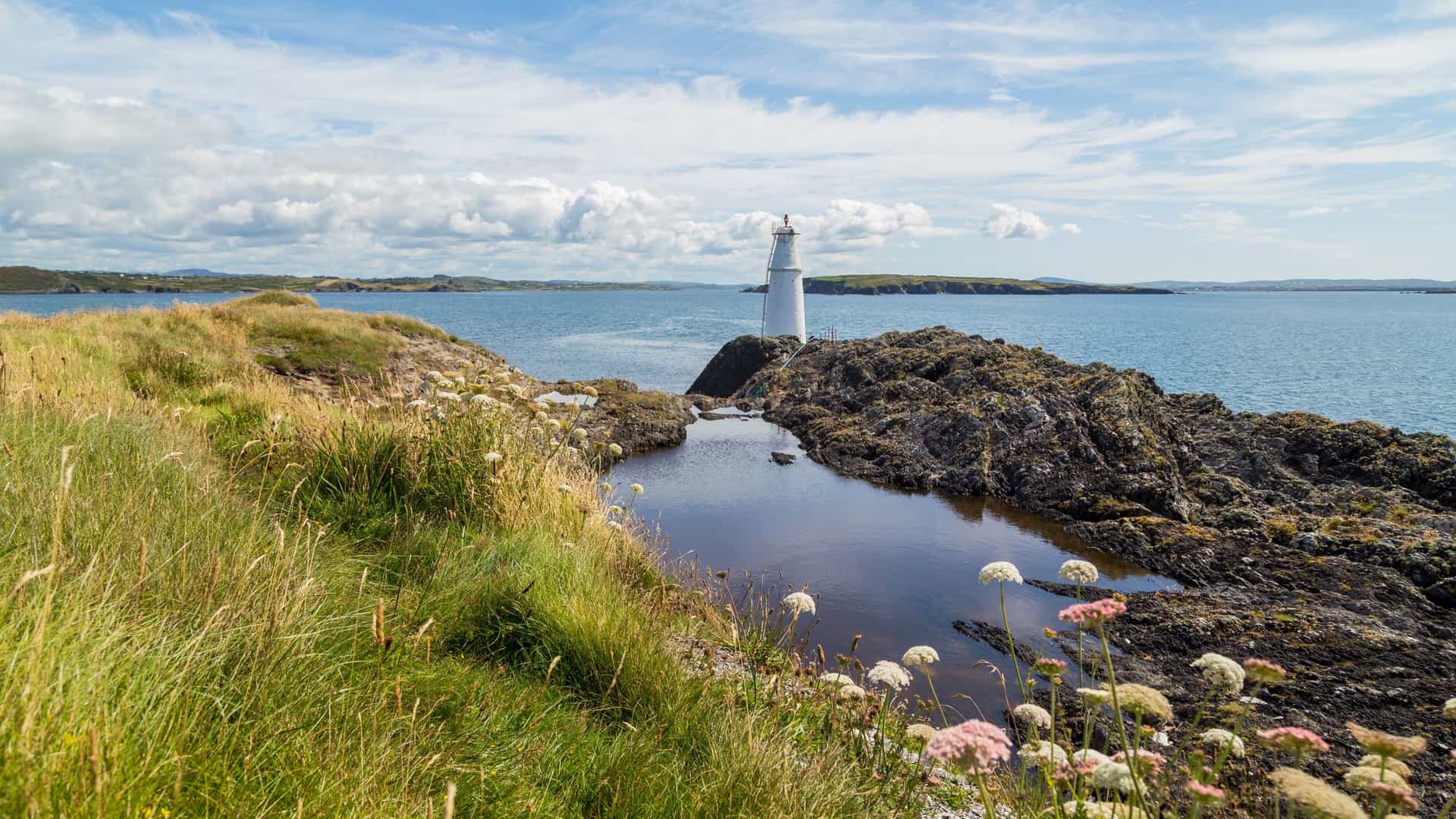 A high-angle scenic view of the coastal village of Schull, located on the Mizen Peninsula in West Cork, Ireland—a picturesque stop for small-ship and boutique Atlantic cruises. The image showcases the calm waters of the harbor dotted with numerous small boats and sailboats, bordered by rolling green hills, rural fields, and the colorful buildings of the village stretching along the waterfront under a soft sky.