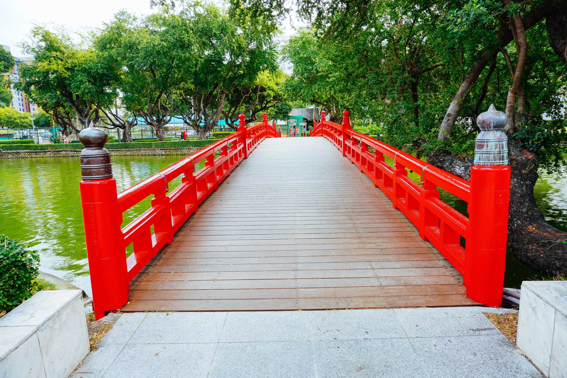 A beautiful, straight-on view of the iconic red wooden arched bridge spanning the green lake in Taichung Park, Taiwan—a popular cultural shore excursion destination from the Taichung cruise port. The bridge features traditional ornamental posts and railings, leading the eye into a lush park setting filled with mature green trees.