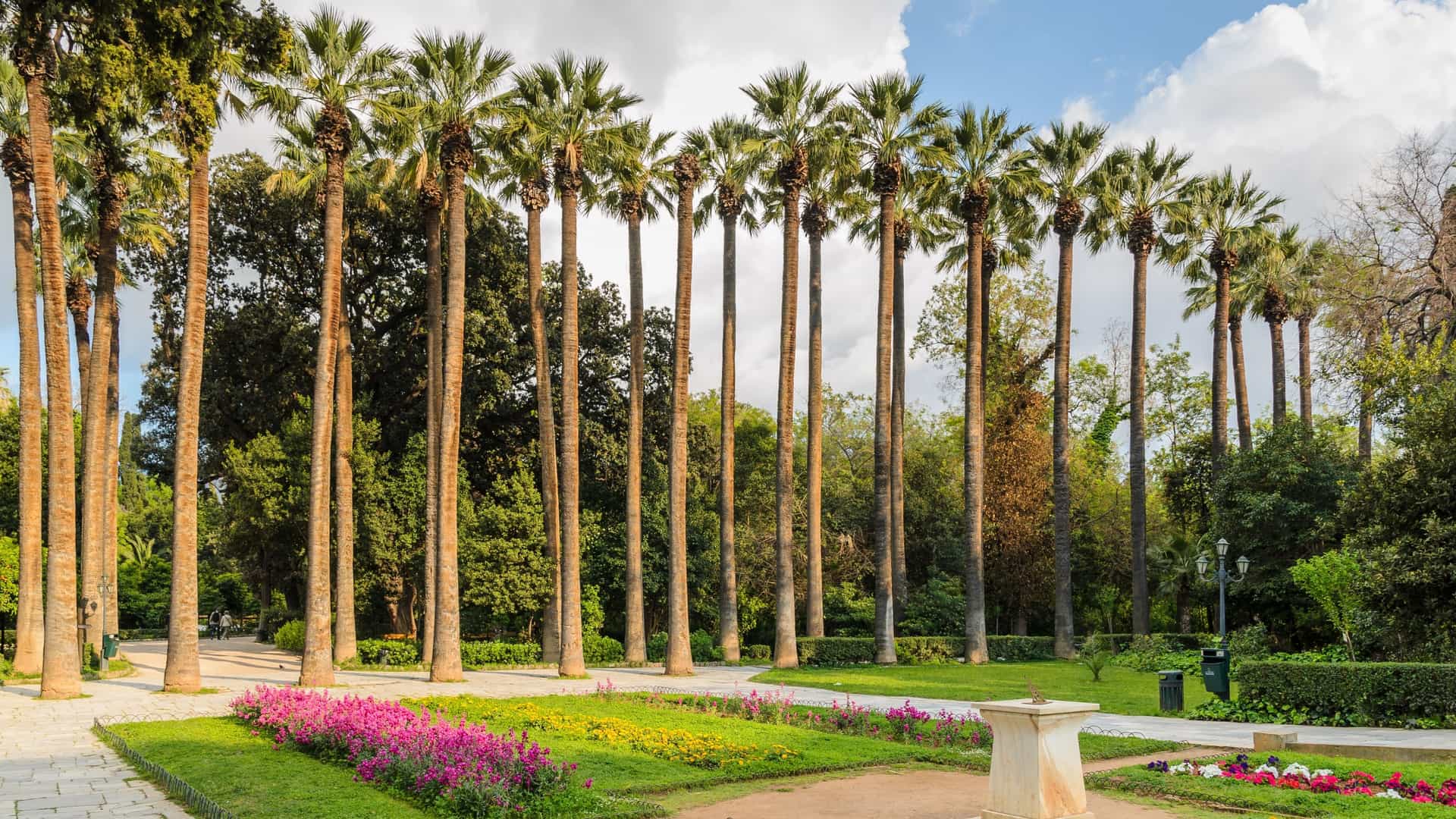 A view of tall palm trees lining a pathway in the National Garden, a public park in the city center of Athens, Greece. The image captures the serene, green environment of the garden, which serves as an oasis in the city.