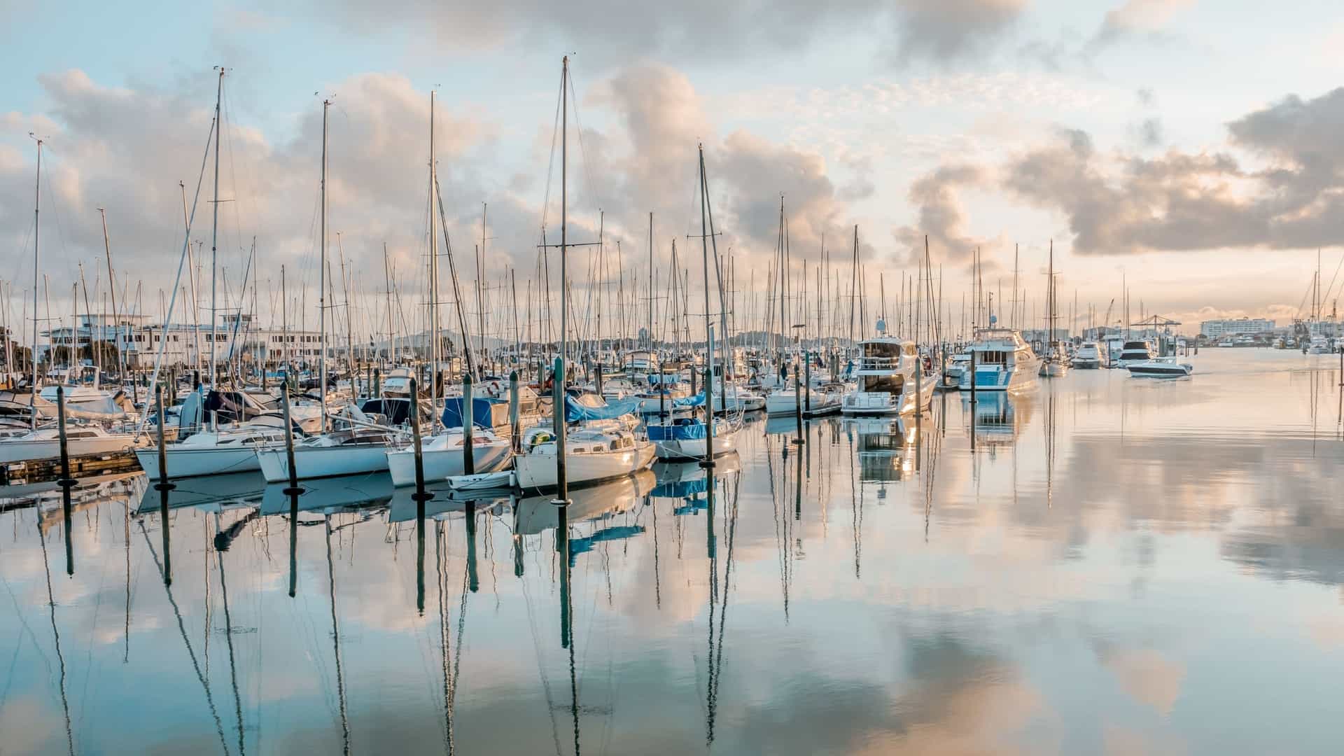 A scenic view of the Viaduct Harbour Marina in Auckland, New Zealand, at sunrise. The image, possibly taken from a high vantage point, shows numerous boats and yachts moored in the marina with the city's skyline in the background, all bathed in the warm, golden light of the early morning.