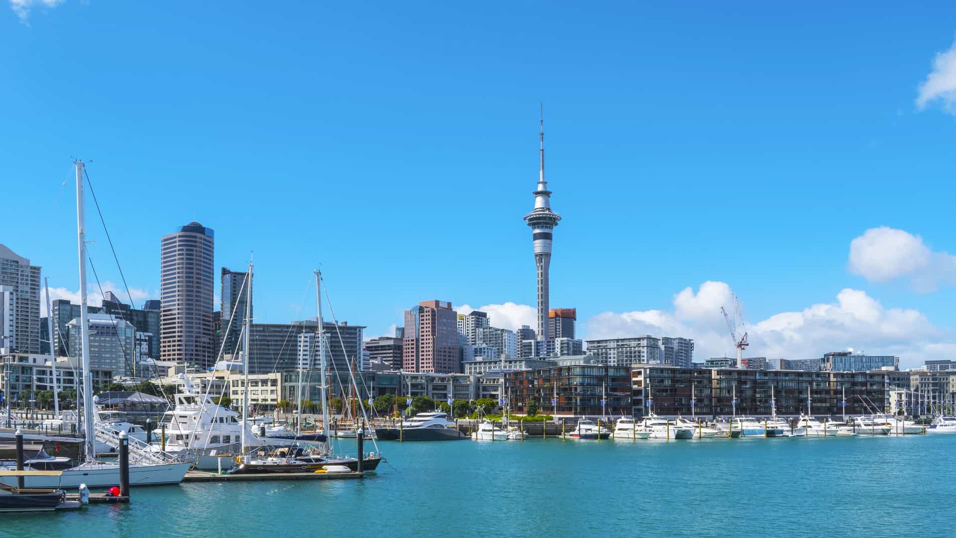 A scenic, wide-angle view of the Auckland city skyline and harbor taken from the modern Wynyard Quarter waterfront in New Zealand. The image prominently features a marina filled with boats in the foreground, leading back toward the central business district (CBD). The iconic Sky Tower rises above the collection of modern high-rise buildings and skyscrapers, with the blue water and a section of the Auckland Harbour Bridge visible in the distance.