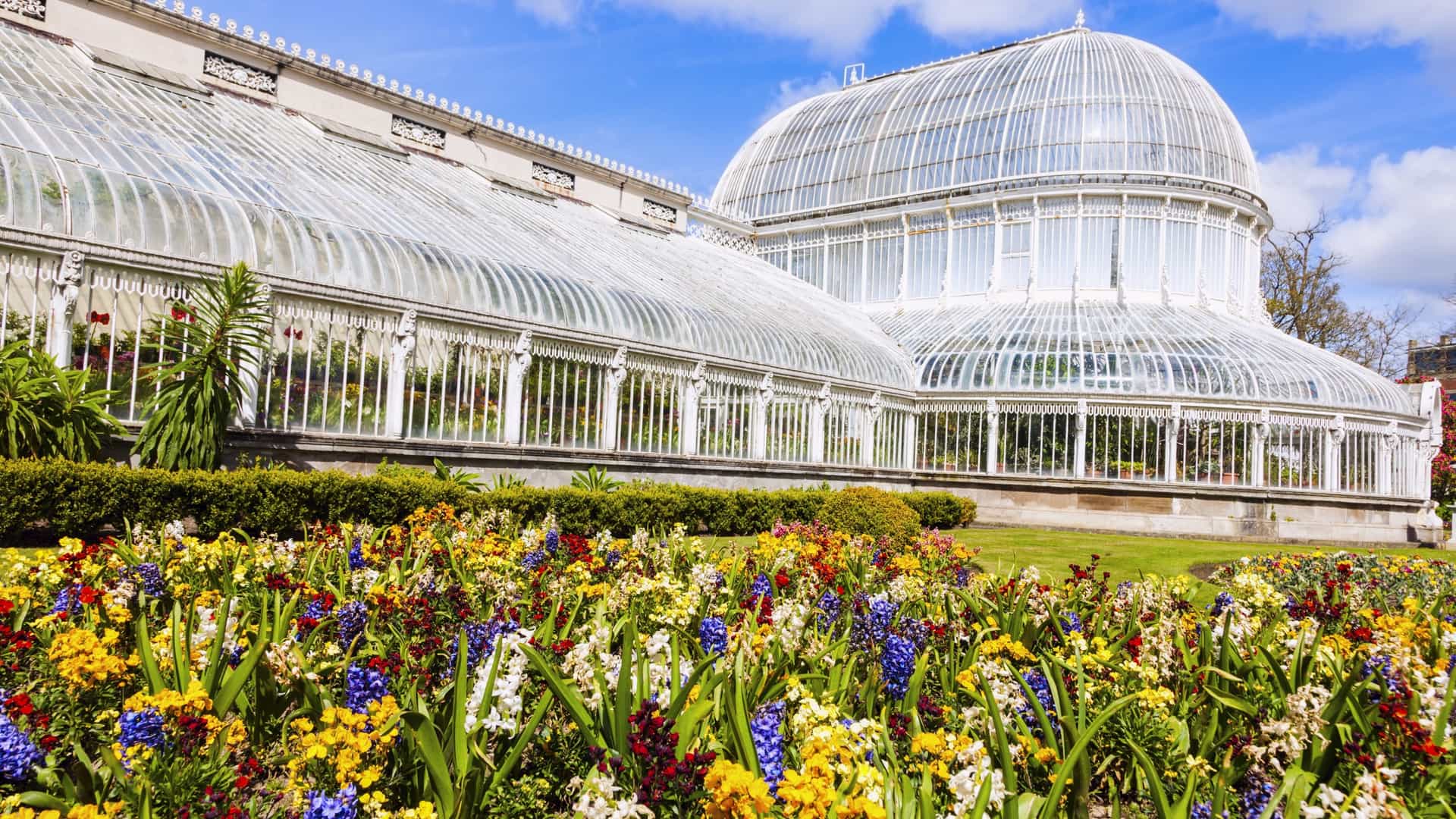 A view of the Palm House, a historic Victorian greenhouse located in Botanic Gardens, Belfast. The building is made of curvilinear cast iron and glass, with a large central dome and two wings. The glasshouse is surrounded by green grass and flower beds under a blue sky.