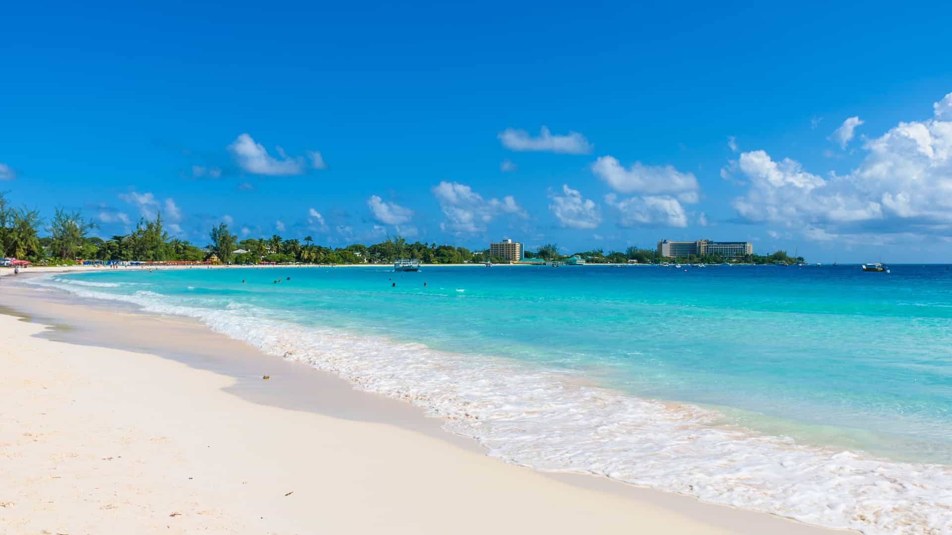 A tropical beach scene at Harbour Lights on Carlisle Bay in Barbados. The image features a white sandy beach, turquoise water, and palm trees. There are beach chairs and umbrellas set up on the sand, with a view of the calm bay.