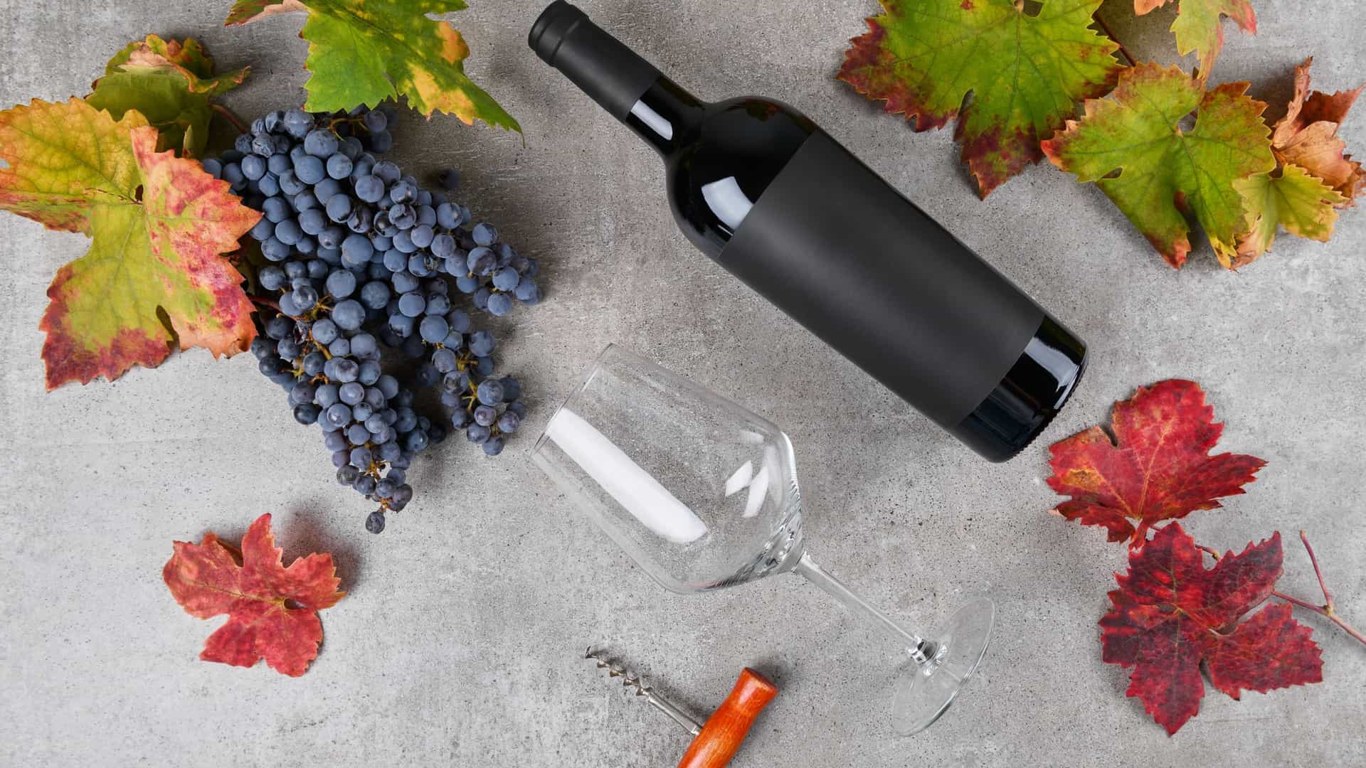 A close-up studio shot of a dark glass red wine bottle with a slightly curved body. A typical wine from Puglia, such as Primitivo or Negroamaro, often paired with Puglian cuisine.