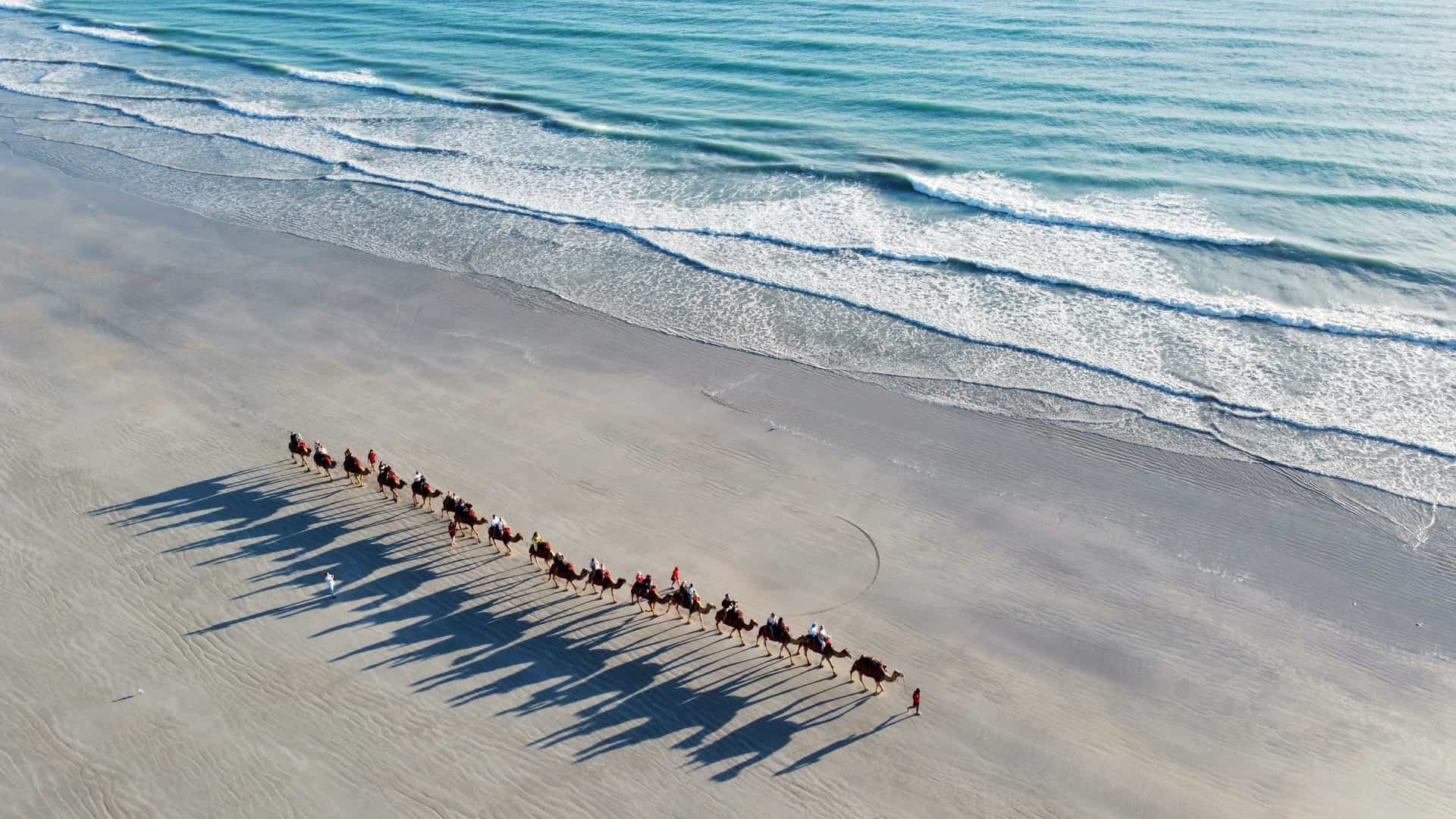 An aerial, high angle view of a camel riding tour along the wide, sandy expanse of Cable Beach in Broome, Western Australia, with the turquoise water of the ocean in the background under a blue sky.