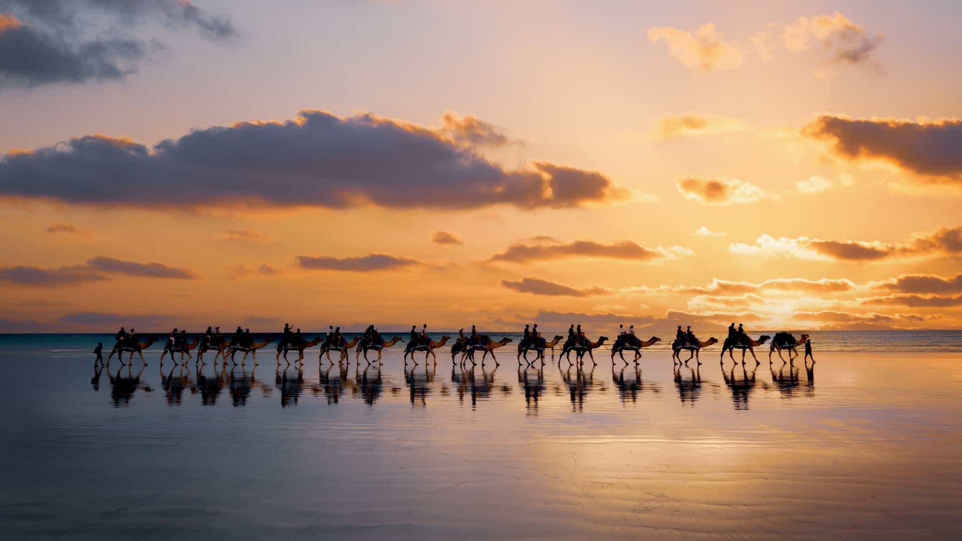 A classic wide shot of the iconic camel ride on Cable Beach in Broome, Western Australia, with a long line of camels carrying riders silhouetted against a brilliant orange and red sunset over the Indian Ocean.