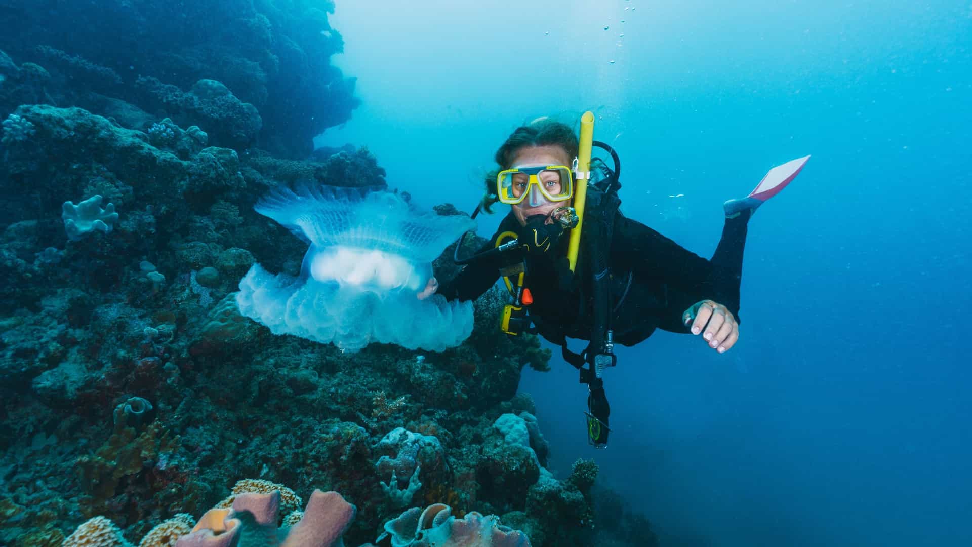 The woman is wearing a stinger suit, which is a type of lightweight wetsuit worn in the tropical waters of the Great Barrier Reef to protect against jellyfish and the sun. The photo shows the woman pointing at a jellyfish, likely indicating a close encounter with the marine life that the suit is designed to protect against.