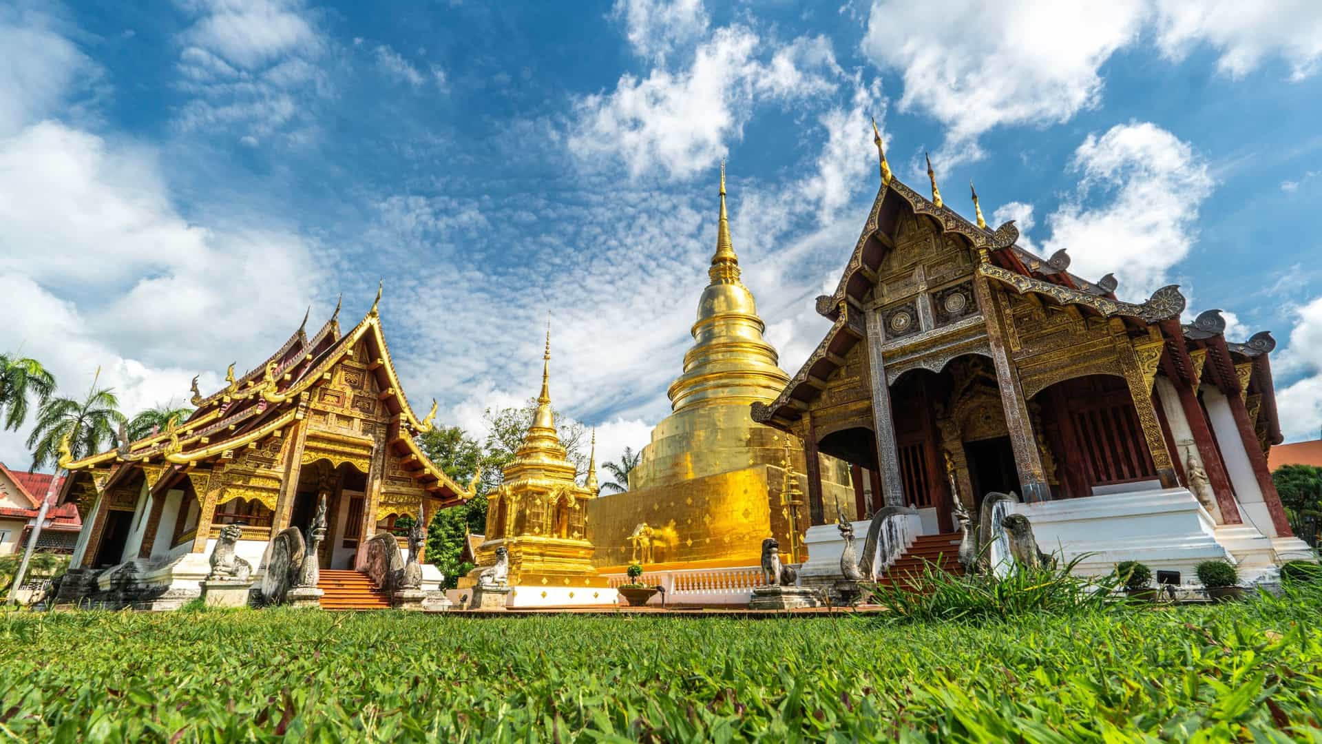 A wide view of the elaborate architecture of Wat Phra Singh in Chiang Mai, Thailand, featuring a large, gilded Lanna style chedi (stupa) that shines brightly under the sunlight. The temple complex includes ornate buildings with multi tiered roofs and traditional Thai decorations, set against a clear blue sky.