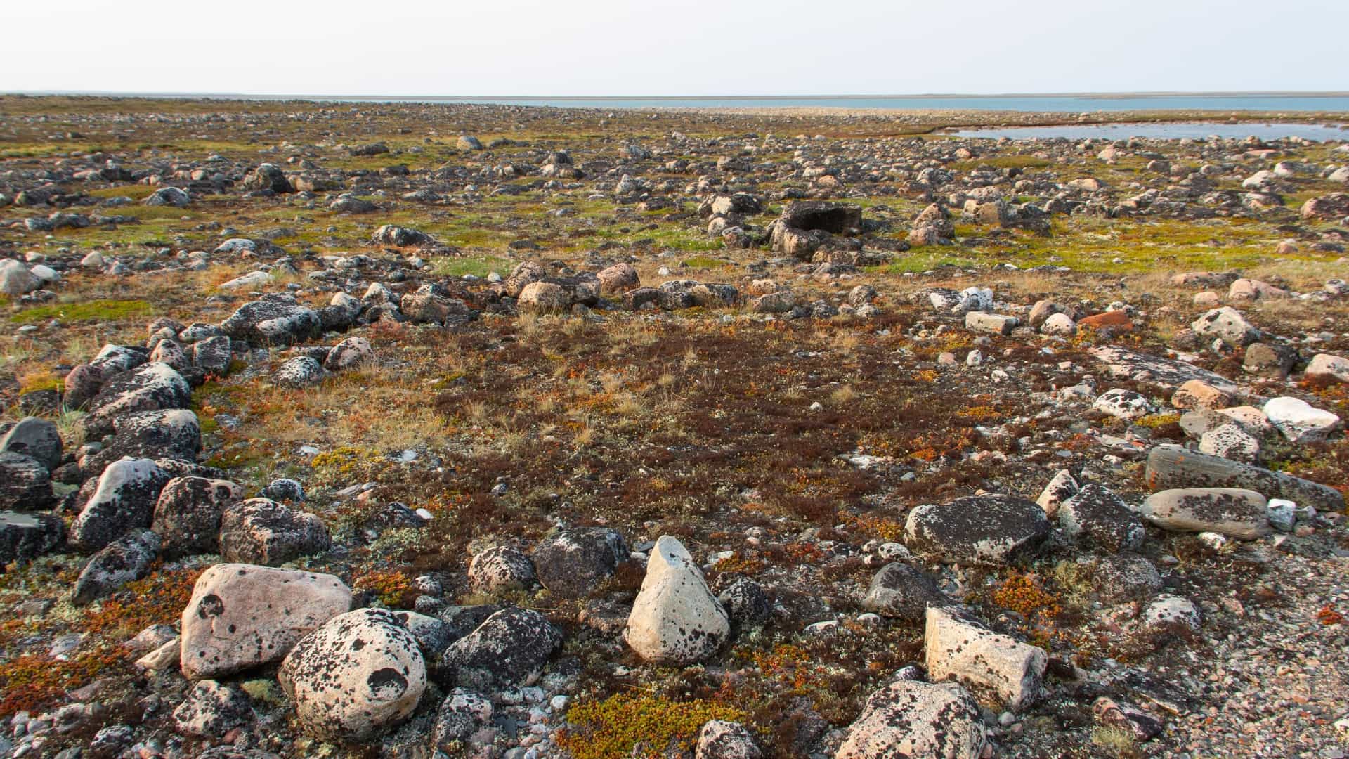 The sparse, rocky landscape along the coast of Churchill, Manitoba, Canada, featuring the circular remains of several ancient Inuit tent rings—stone arrangements that mark the sites of former temporary shelters.
