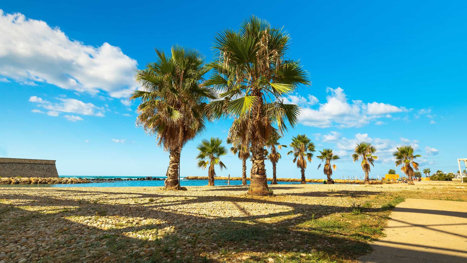 A scenic view of the Civitavecchia, Italy, coastline, featuring several tall palm trees swaying against a clear blue sky, overlooking a beach or promenade near the Tyrrhenian Sea.