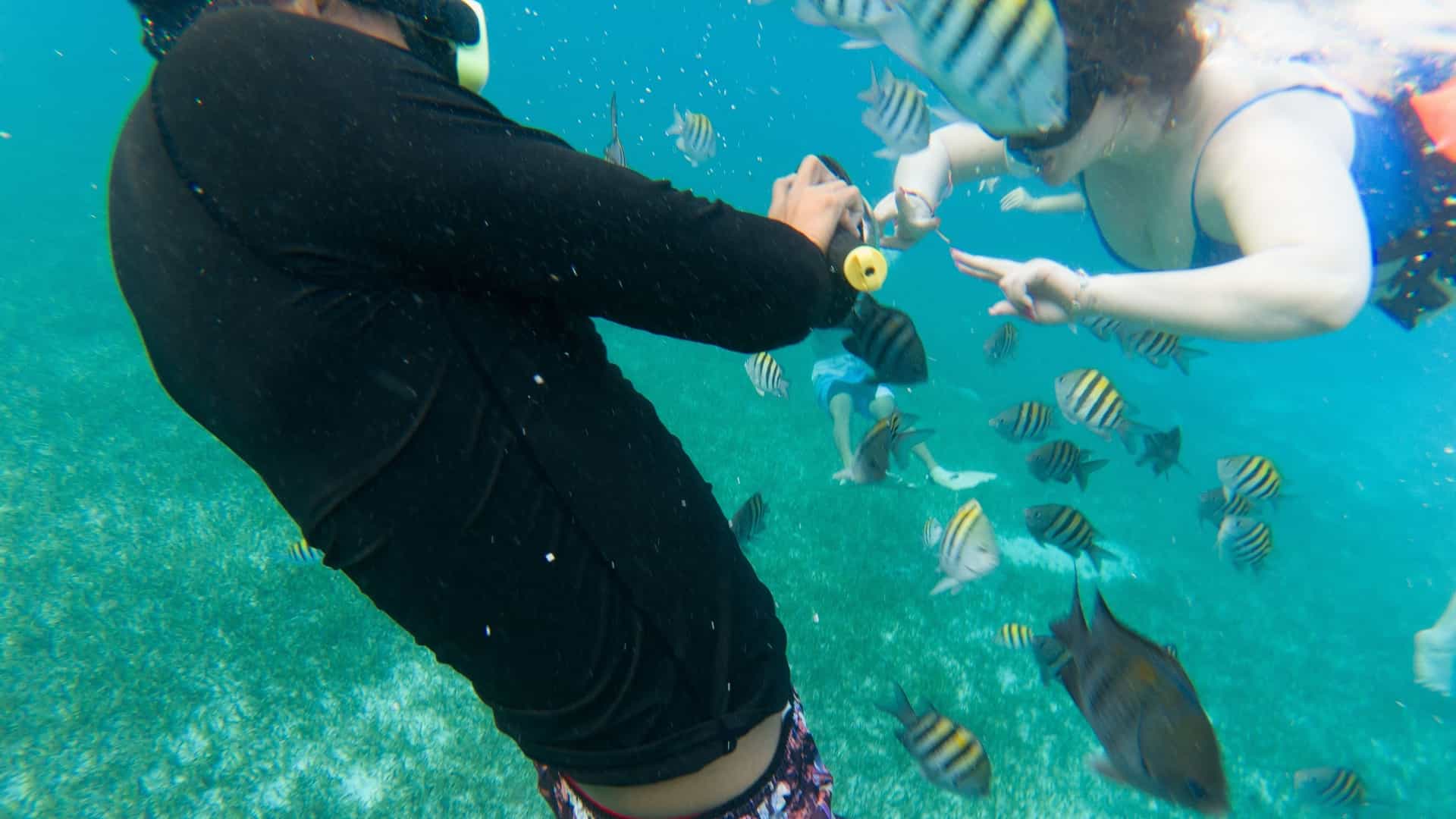 An underwater shot of a snorkeler floating face down over a vibrant coral reef in the crystal clear, turquoise waters of Cozumel, Mexico. The scene features various marine life, possibly including schools of small tropical fish, and the reef structure extends deep into the excellent visibility of the Caribbean Sea.